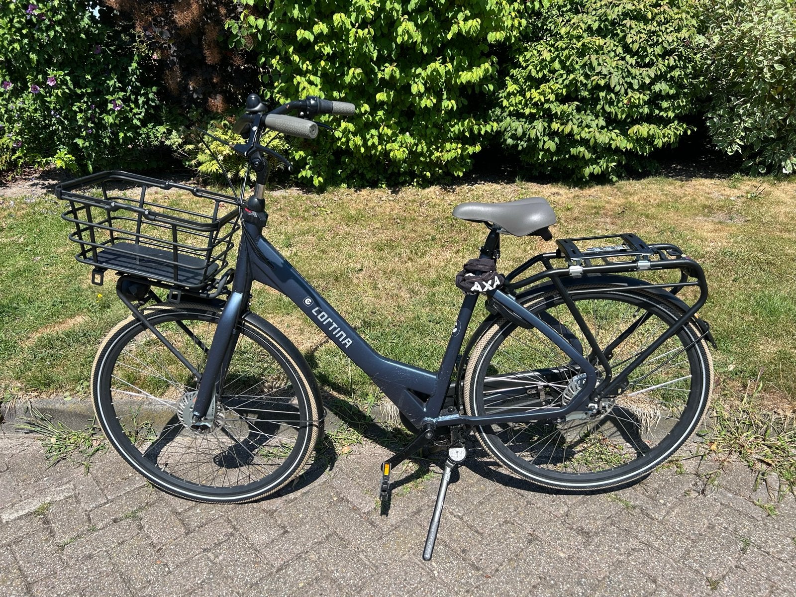 Cortina Common Damesfiets met Voordrager en 7 Versnellingen, Fietsen en Brommers, Fietsen | Dames | Damesfietsen, 53 tot 56 cm