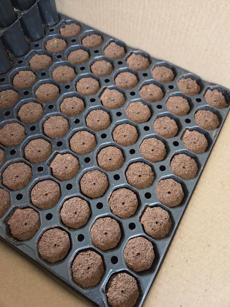 Eazy Plug zaai- en stektrays (ca 5,5 stuk), Tuin en Terras, Kweekspullen, Ophalen of Verzenden