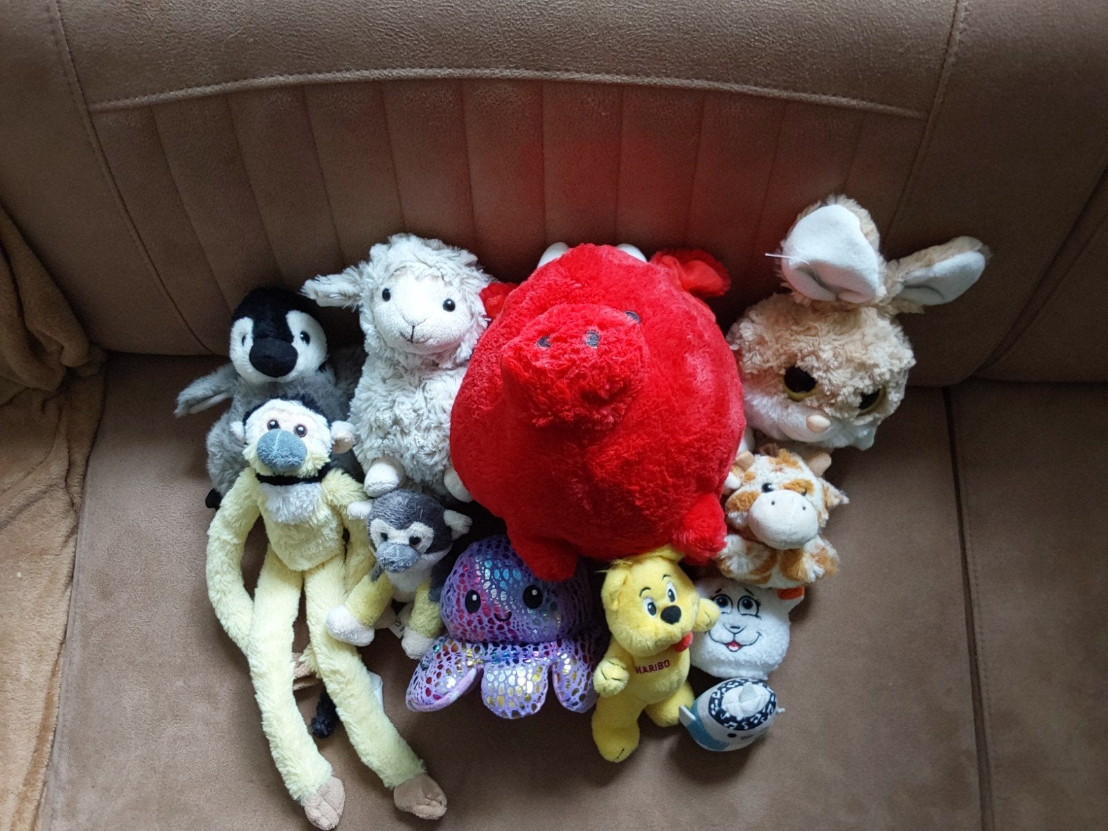 Diverse knuffels in nette staat,  groot en klein, Ophalen of Verzenden, Zo goed als nieuw, Beige, Overige typen