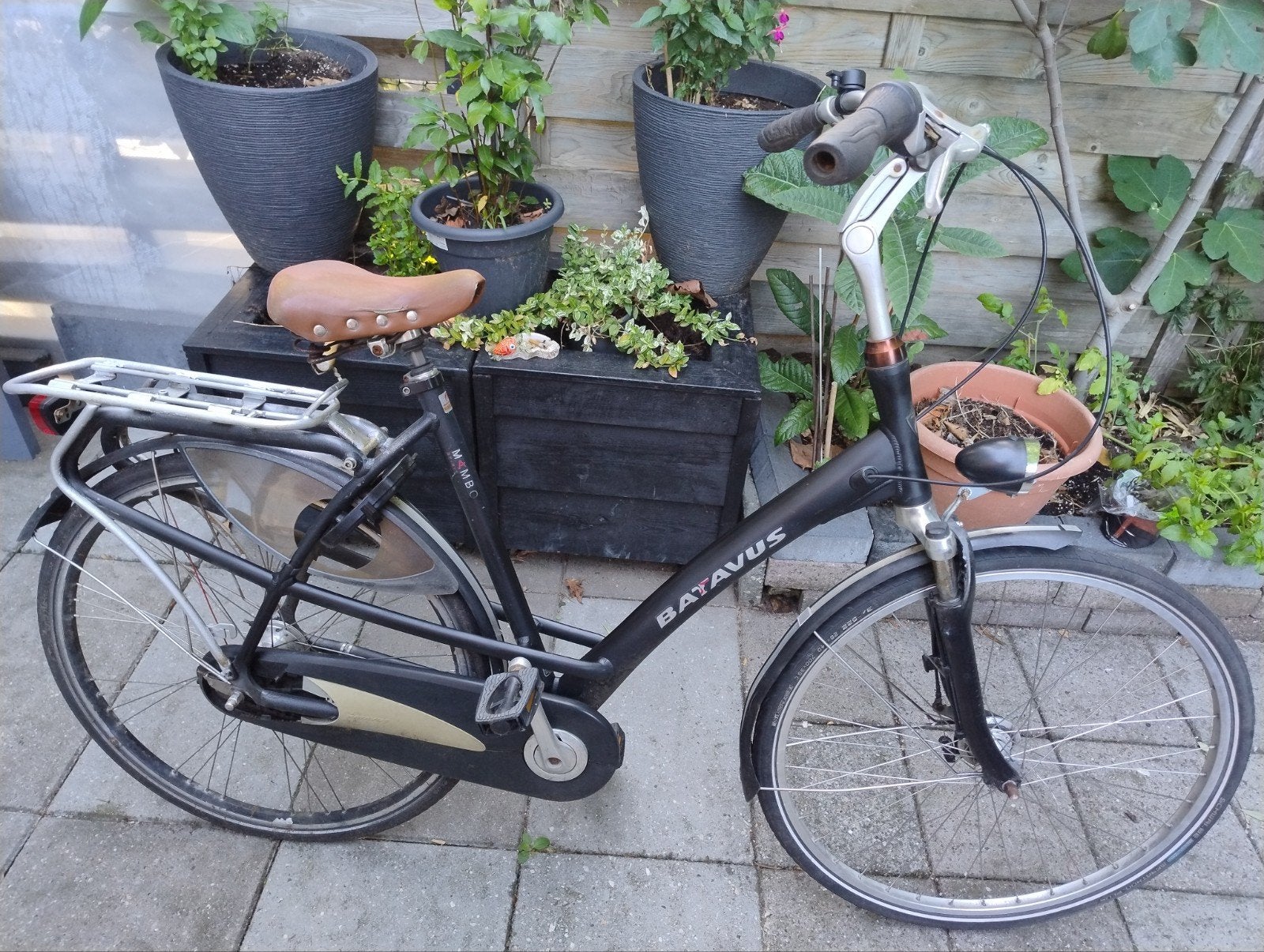dames fiets Batavus, Ophalen, Batavus