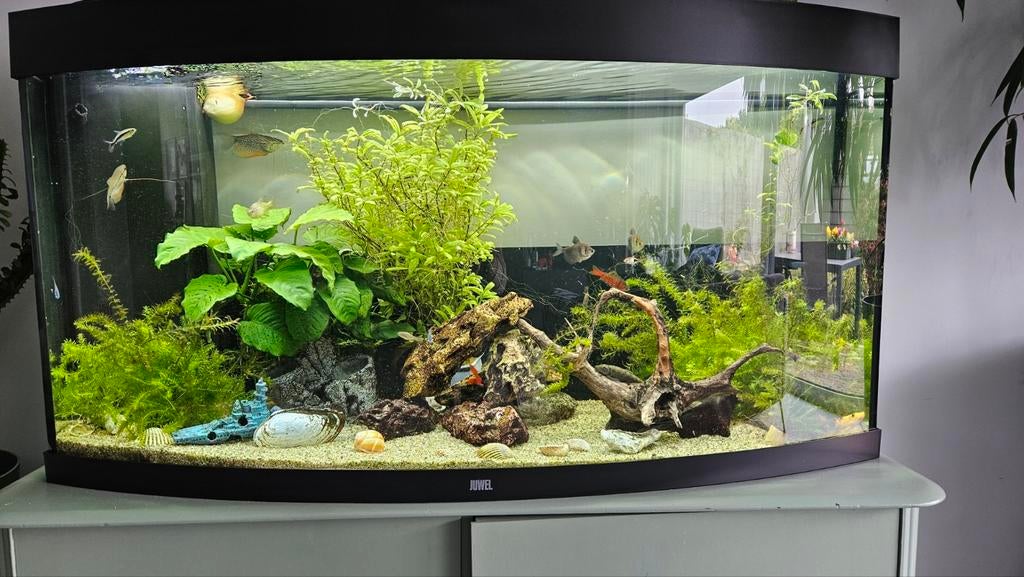 JUwel Aquarium zwart, Ophalen of Verzenden, Zo goed als nieuw, Leeg aquarium