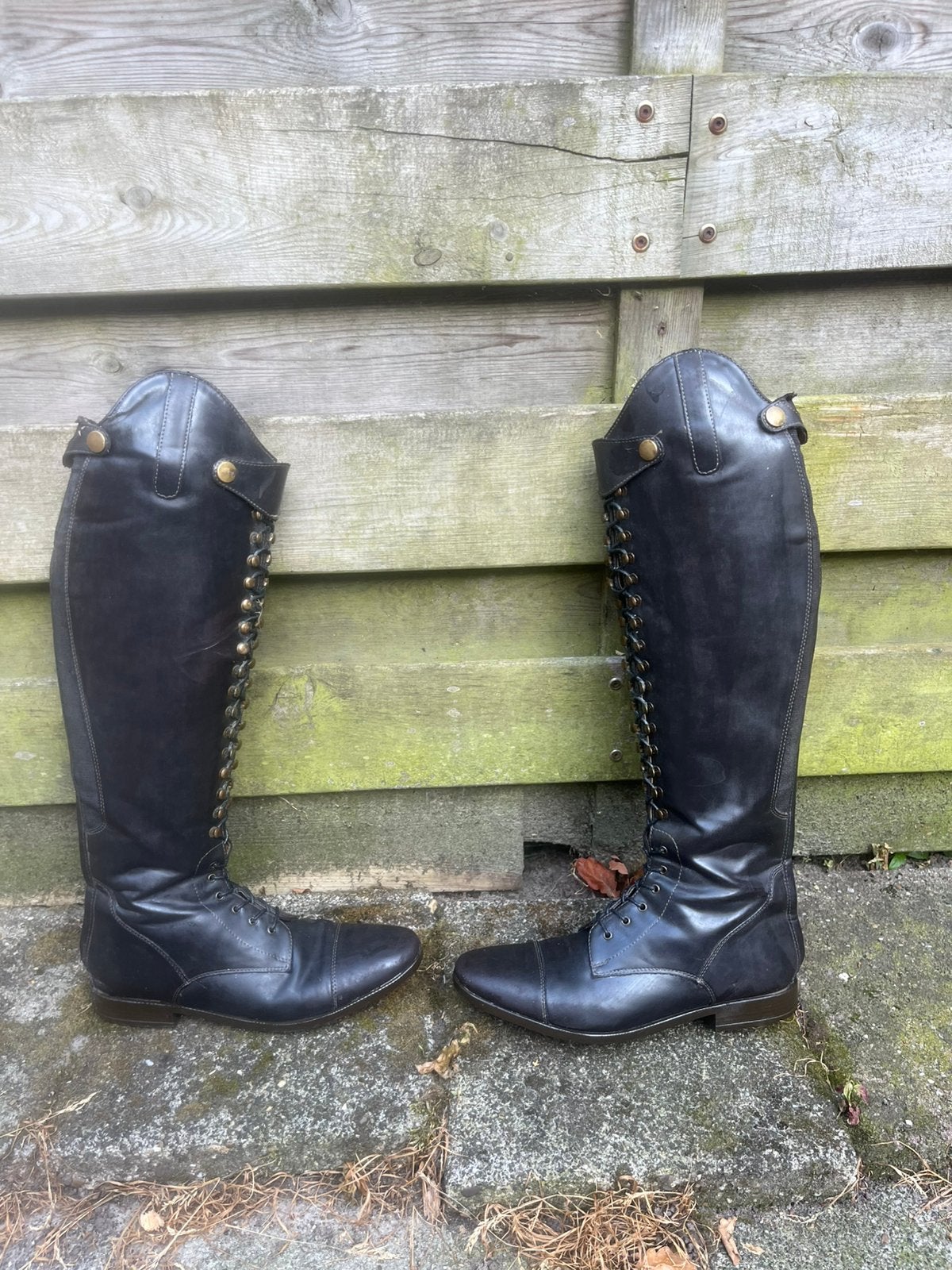 Epplejeck rijlaarzen maat 41, Dieren en Toebehoren, Paardrijkleding, Zo goed als nieuw, Schoeisel, Dressuur, Ophalen of Verzenden