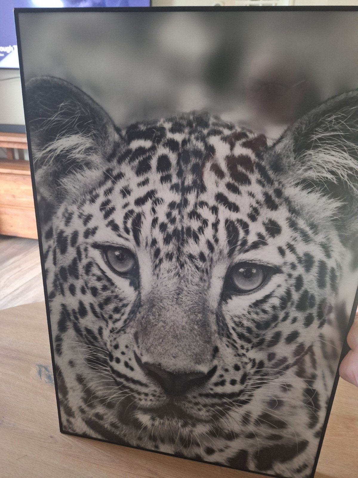 Zwart-wit luipaard canvas schilderij, Ophalen, 50 – 75, Zo goed als nieuw, Schilderij