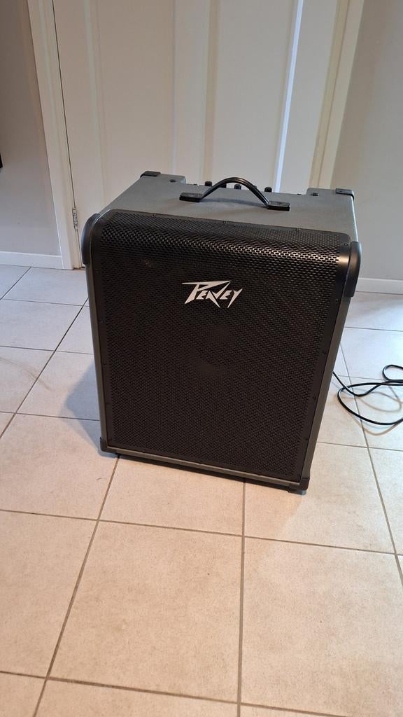 Peavey MAX 250 basversterker, Ophalen of Verzenden, 100 watt of meer