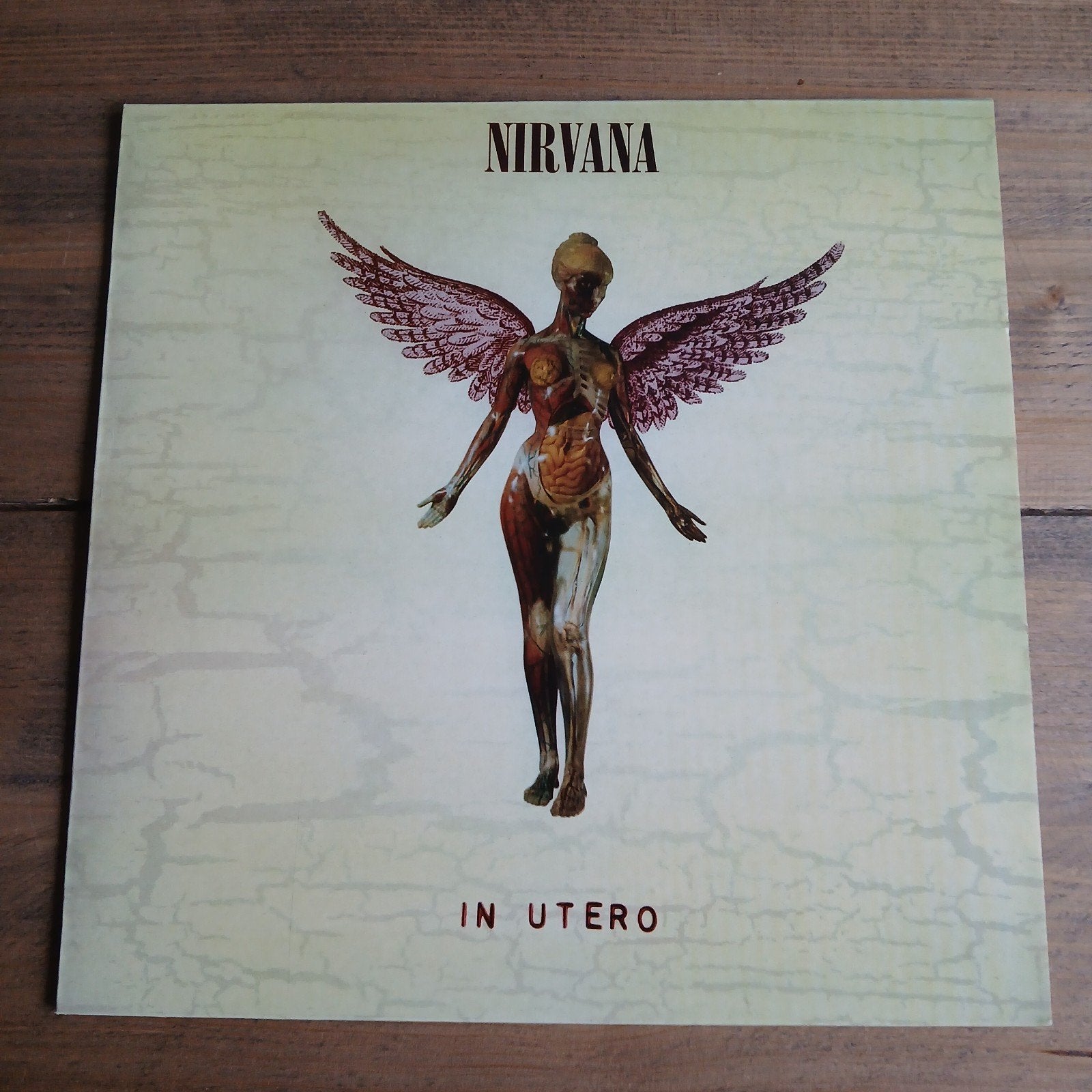 🔴 Nivana ☆ In utero • LP, LP, Beschermende buitenhoes, Ophalen of Verzenden, Zo goed als nieuw