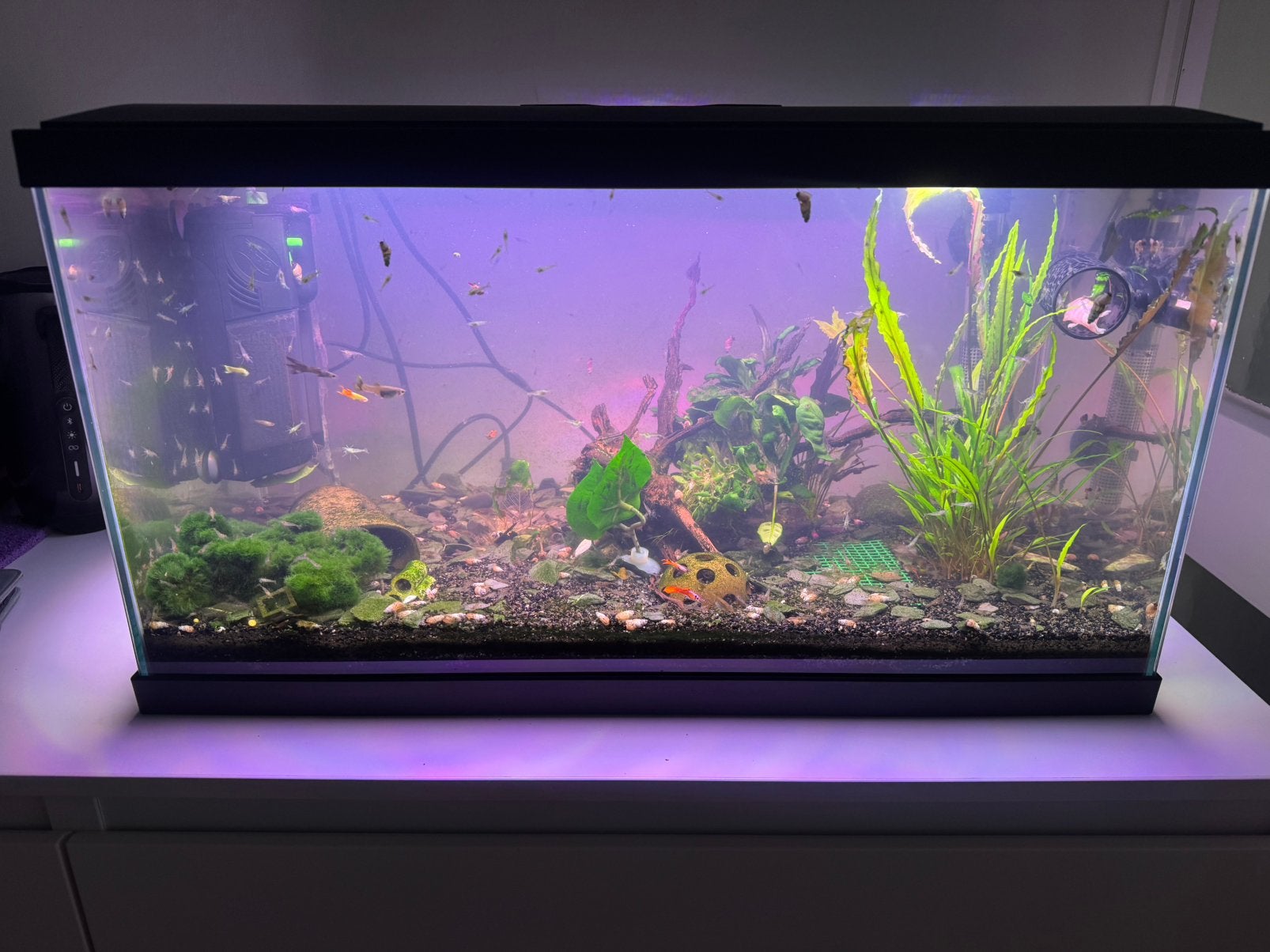 Aqaurium + toebehoren, Dieren en Toebehoren, Ophalen, Inclusief vissen, Zo goed als nieuw, Overige typen