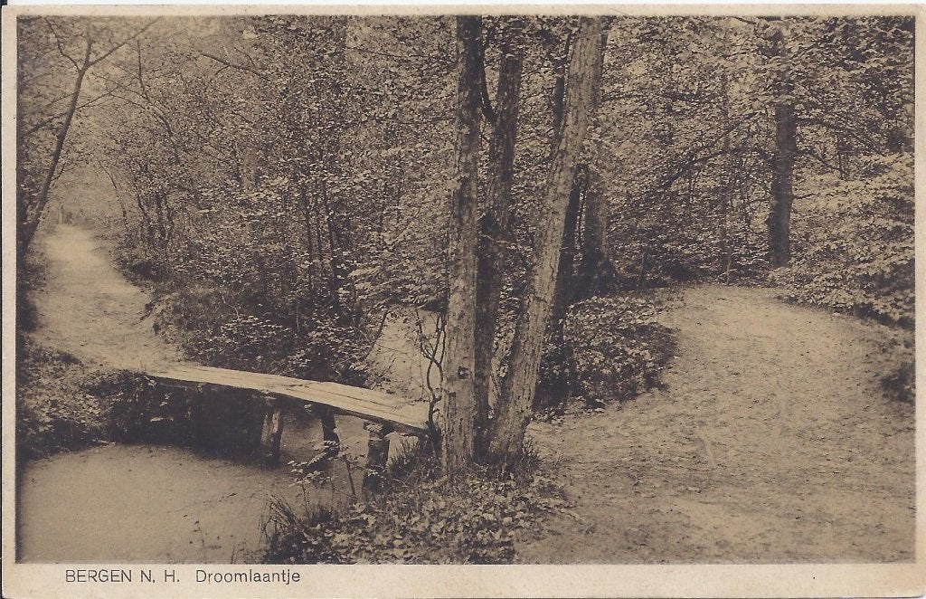 Bergen Droomlaantje Oude Gelopen Ansichtkaart (P959 ), Ophalen of Verzenden, 1960 tot 1980, Gelopen, Noord-Holland