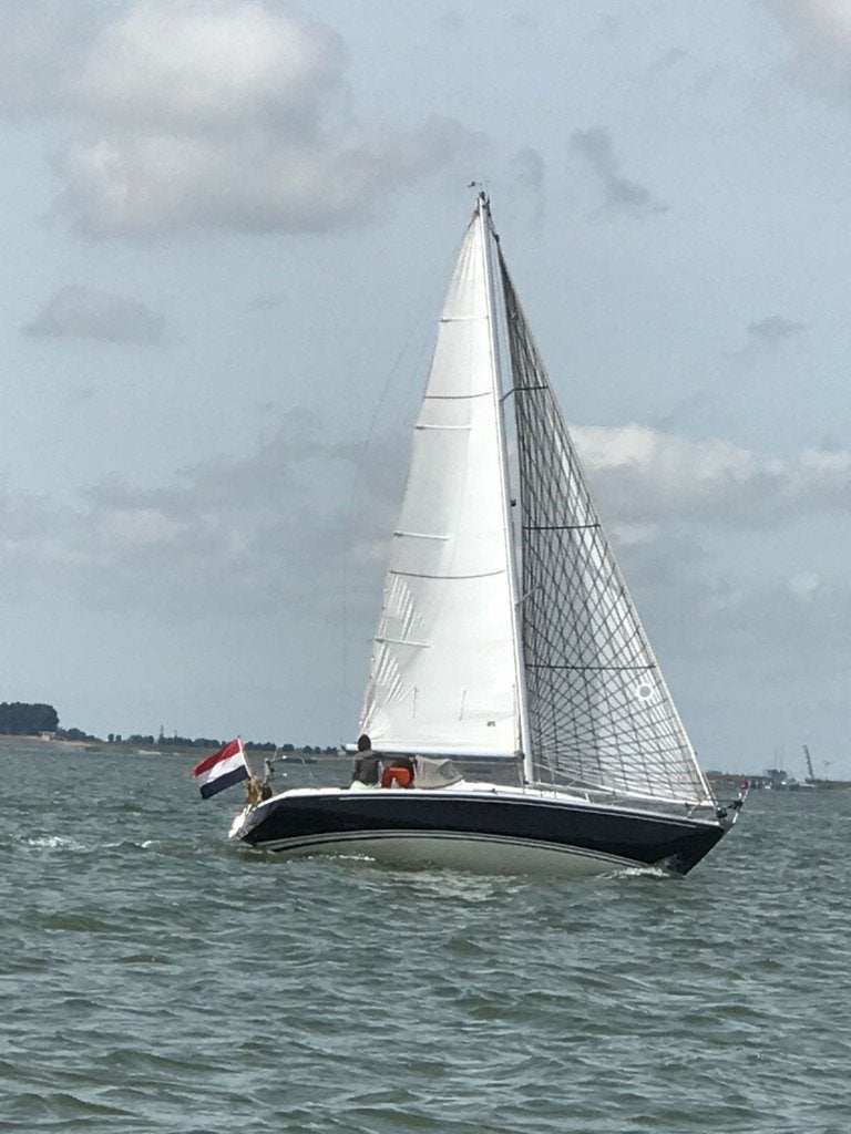 Selecta 31, 9 m, Gebruikt, Binnenboordmotor, 1.80 meter