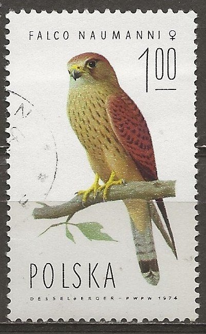 Polen, Ophalen of Verzenden, Polen, Gestempeld