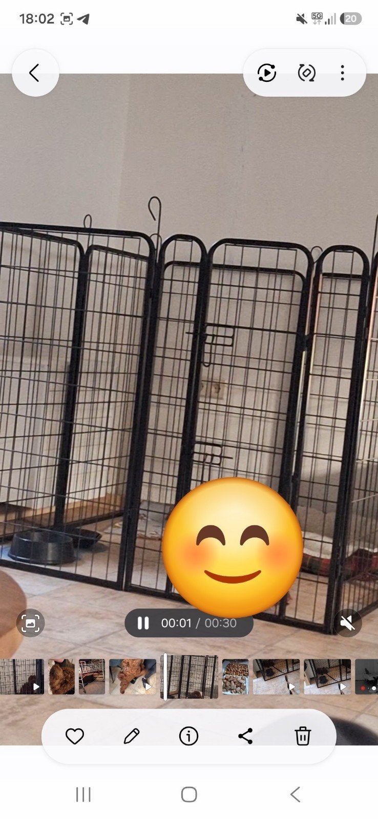 groot hondenbench, Dieren en Toebehoren, Ophalen of Verzenden, Zo goed als nieuw