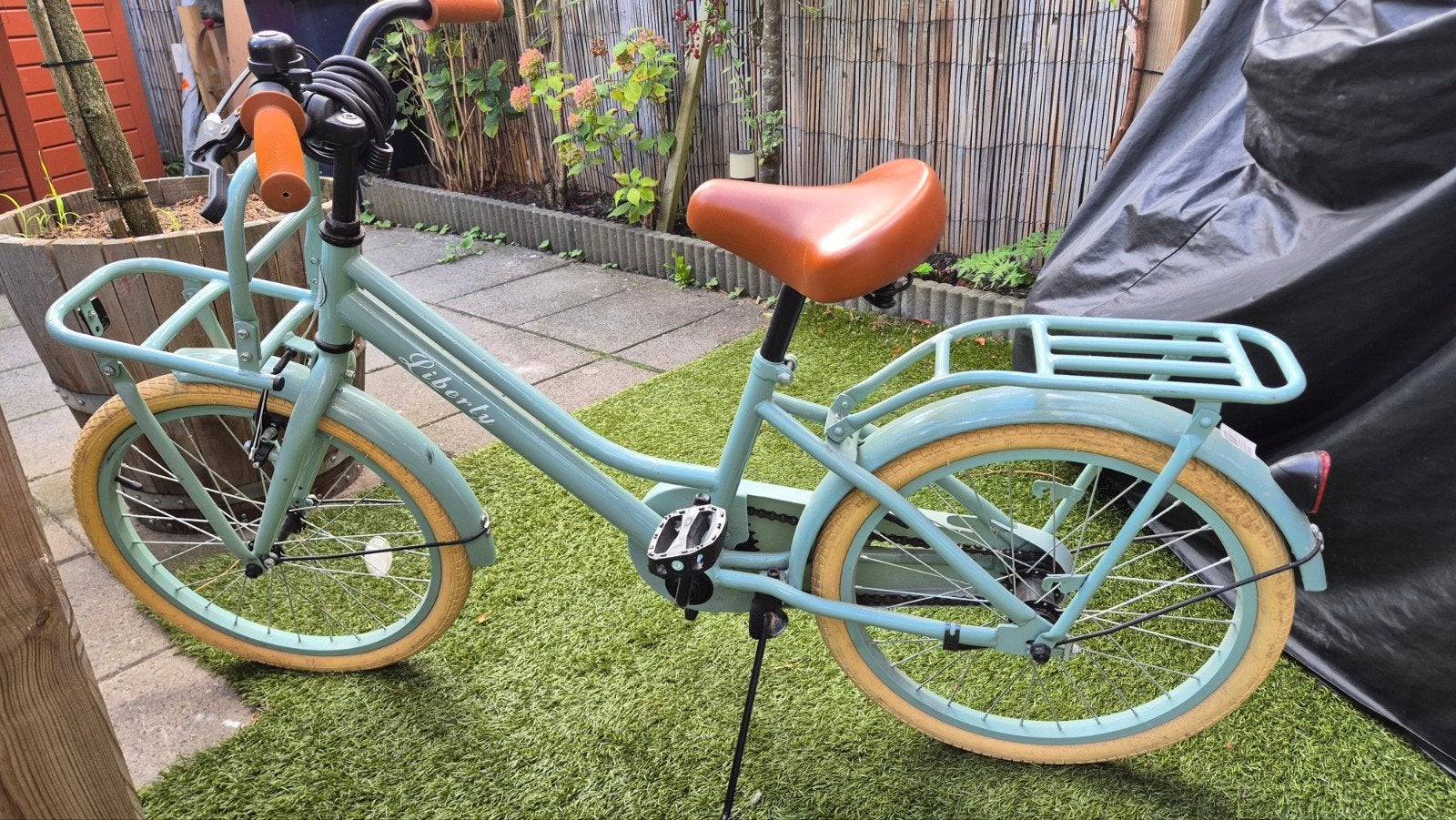 22 inch Liberty Cargo meisjesfiets mintgroen, Ophalen, Terugtraprem, 22 inch, Liberty