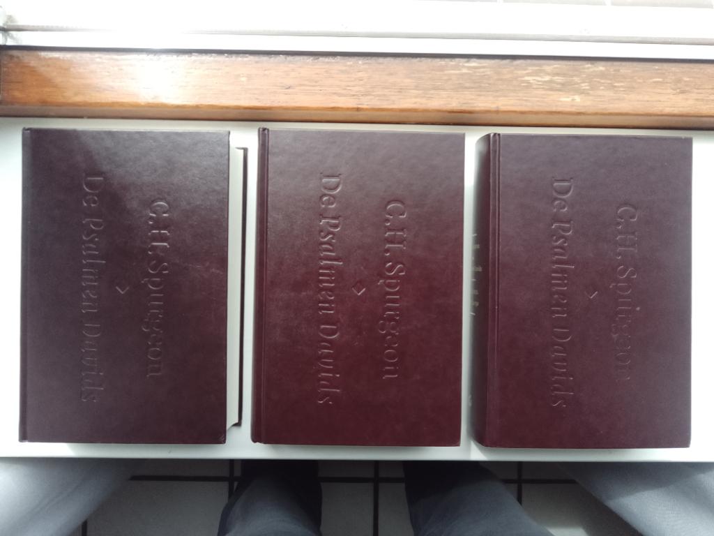 De Psalmen Davids (drie delen) - C.H. Spurgeon, Christendom | Protestants, Ophalen of Verzenden, Zo goed als nieuw, C.H. Spurgeon
