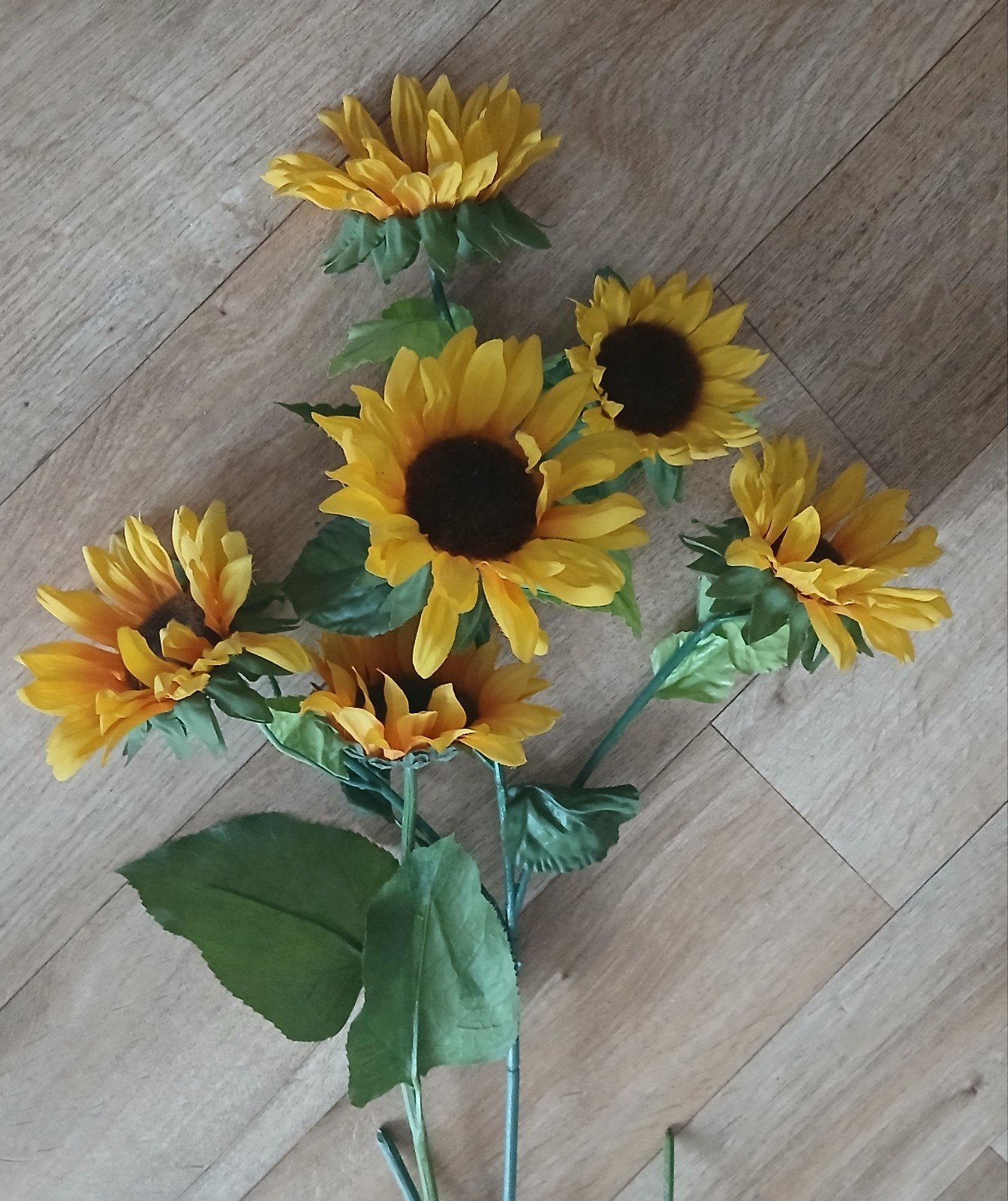 Zonnebloemen, Ophalen of Verzenden, Gebruikt
