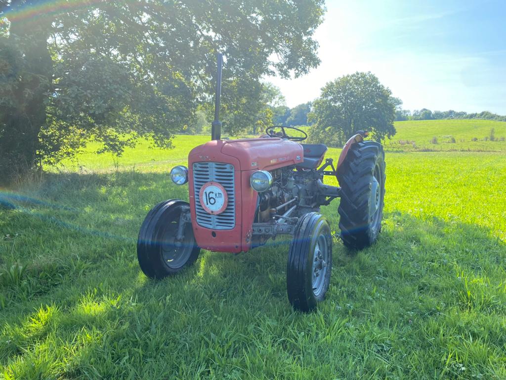 Massey Ferguson 35, Zakelijke goederen, Ophalen of Verzenden, Gebruikt, Tot 80 Pk, Massey Ferguson