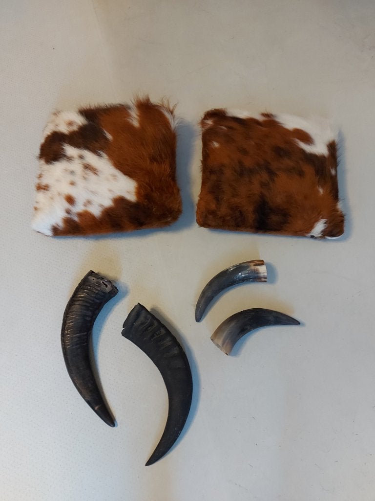 Hoorns, Ophalen of Verzenden, Zo goed als nieuw, Landelijk