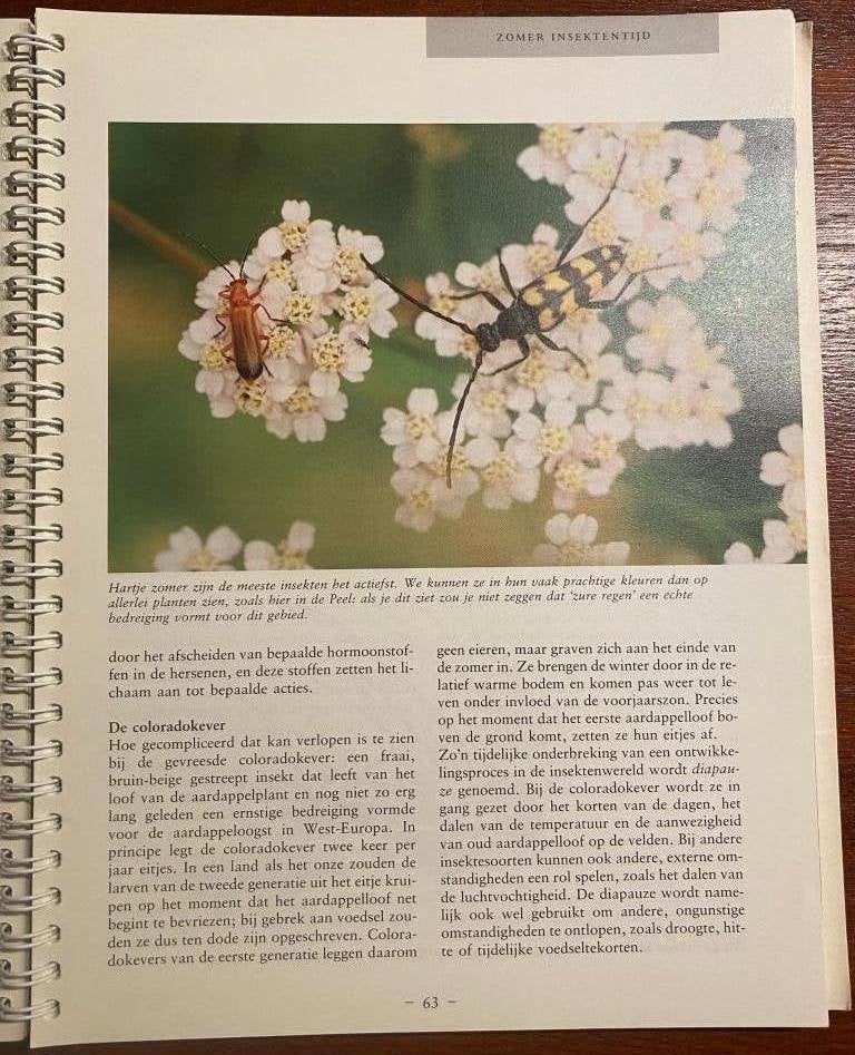 Weerkunde in de praktijk - Zomer & Keuning, Boeken, Ophalen of Verzenden, Gelezen, KNMI, Natuurwetenschap