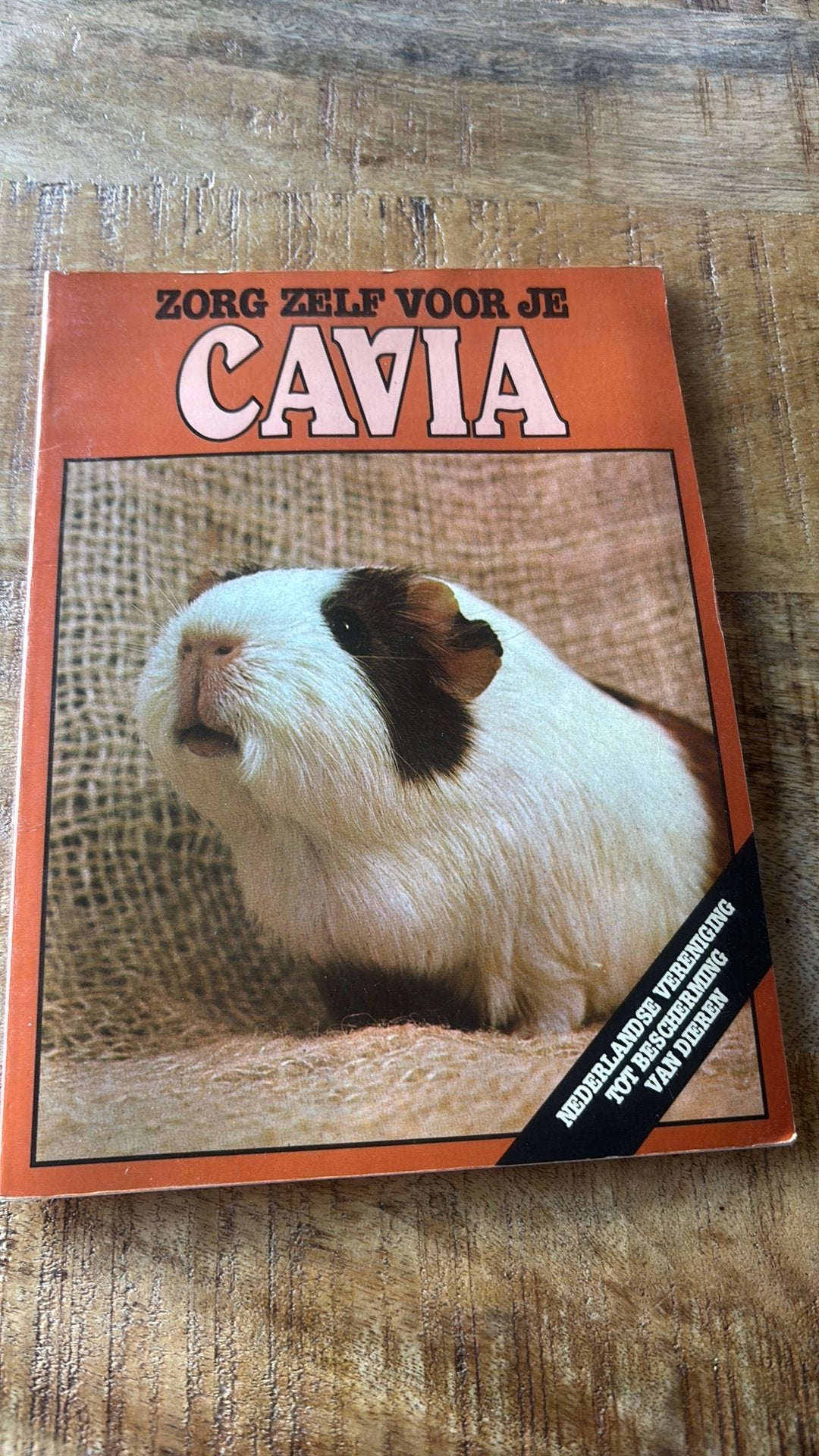 Zorg zelf voor je cavia, Ophalen of Verzenden, Zo goed als nieuw, Konijnen of Knaagdieren