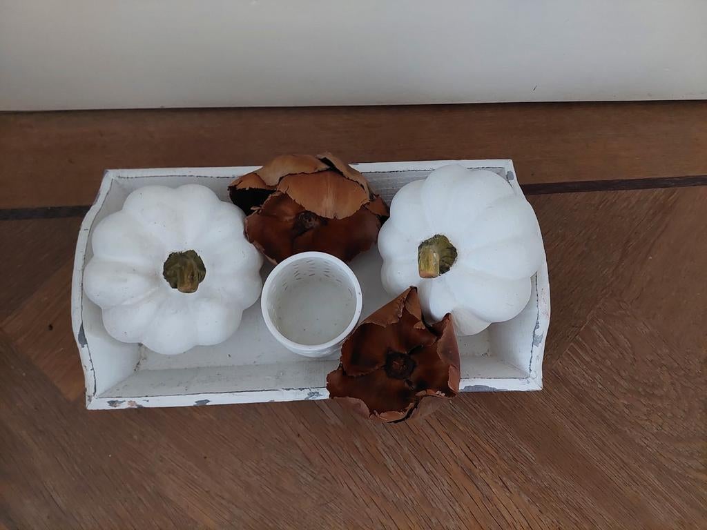 Decoratief dienblad met pompoenen en herfstdecoratie, Ophalen of Verzenden, Gebruikt, Rechthoekig, Hout