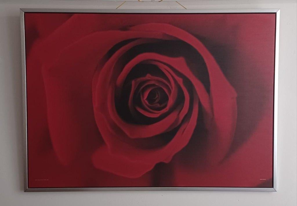 Wanddecoratie, Ophalen of Verzenden, Gebruikt, 140 cm, 100 cm
