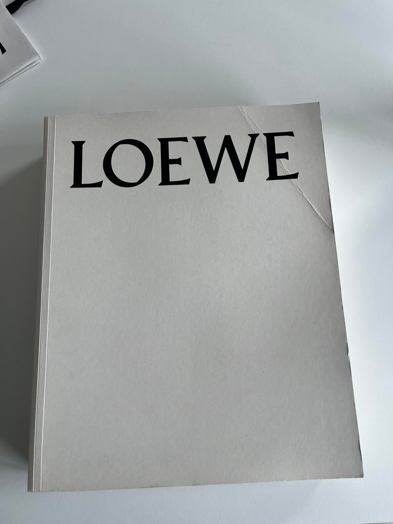 Loewe boek Past Present Future, Boeken, Ophalen of Verzenden, Gelezen, Fotografie algemeen