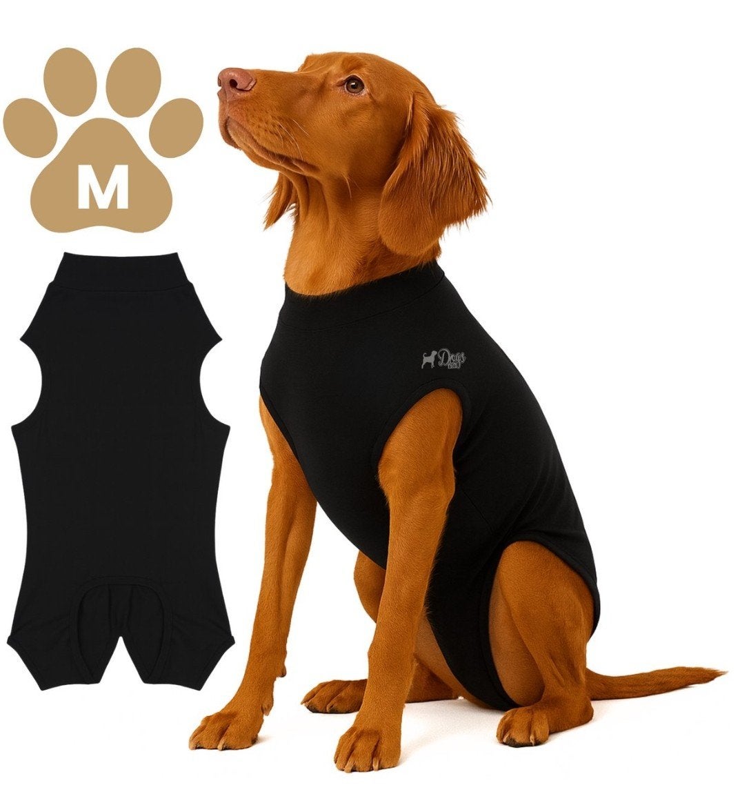 Hond bodysuit na operatie hondenpak, Ophalen of Verzenden, Nieuw