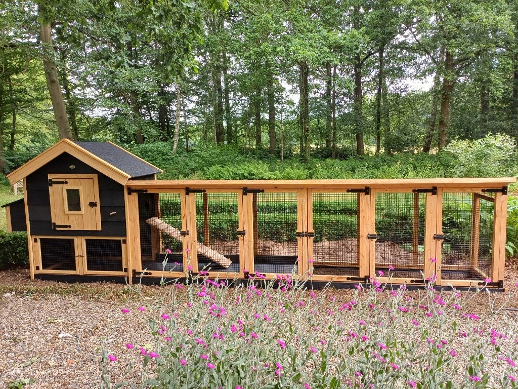 Elst Douglas | Duurzame materialen | Mooi en stevig hok, Ophalen of Verzenden, Nieuw, Kippenhok of Kippenren