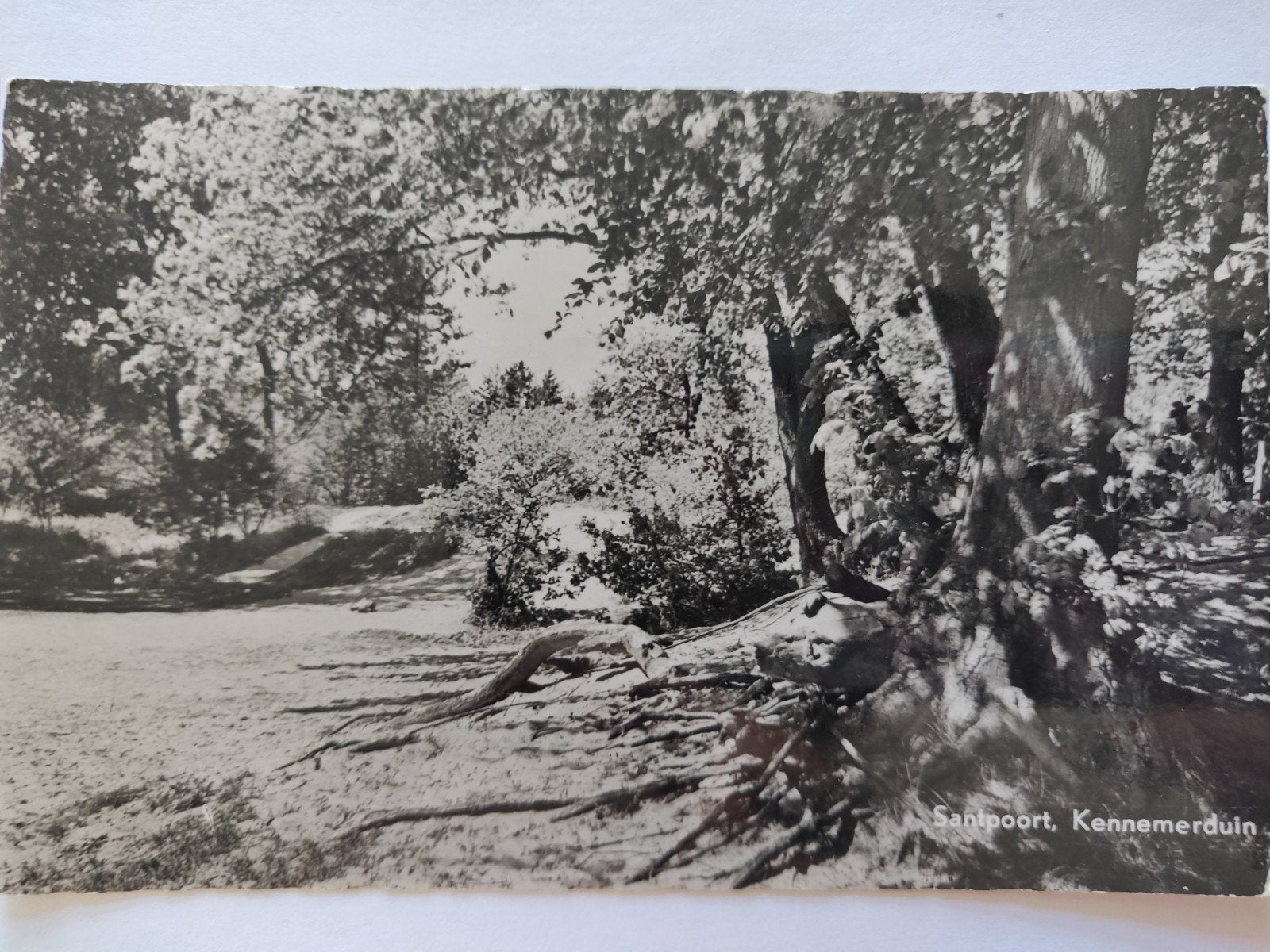 c1886 santpoort, Ophalen of Verzenden, 1920 tot 1940