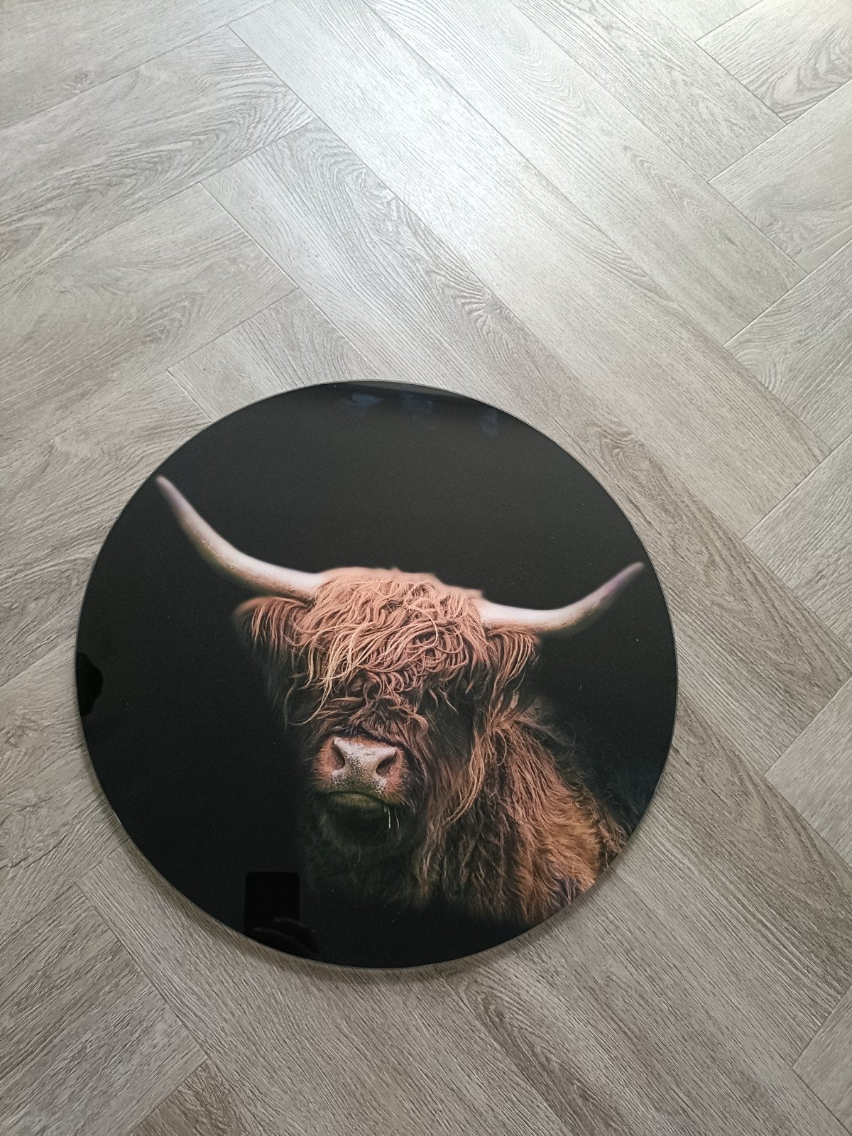 Ronde wanddecoratie Schotse Hooglander, Ophalen, Minder dan 50 cm, Overige typen, Zo goed als nieuw