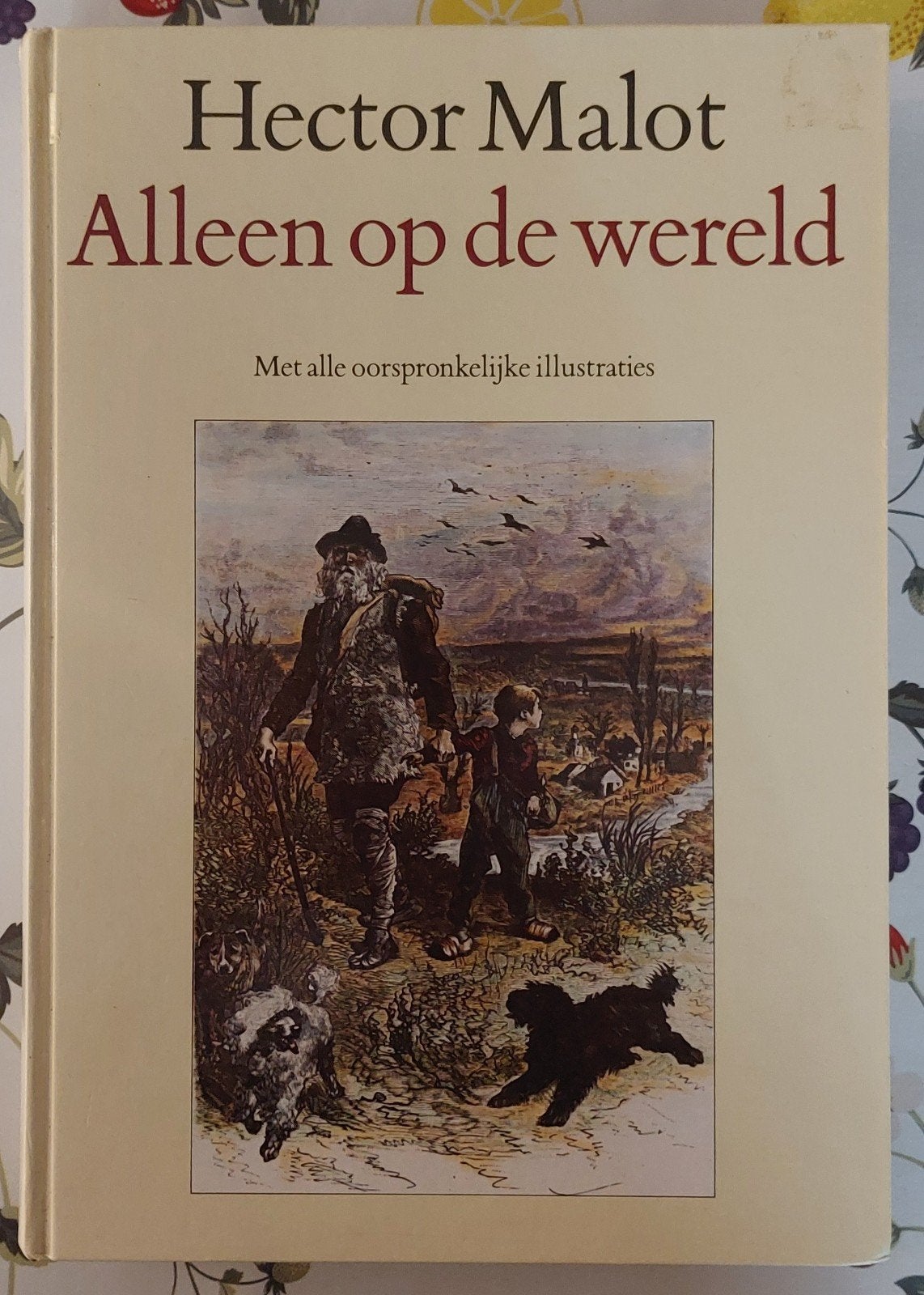Alleen op de wereld - Hector Malot (Geïllustreerd), Ophalen of Verzenden, Gelezen, Hector Malot, Europa overig
