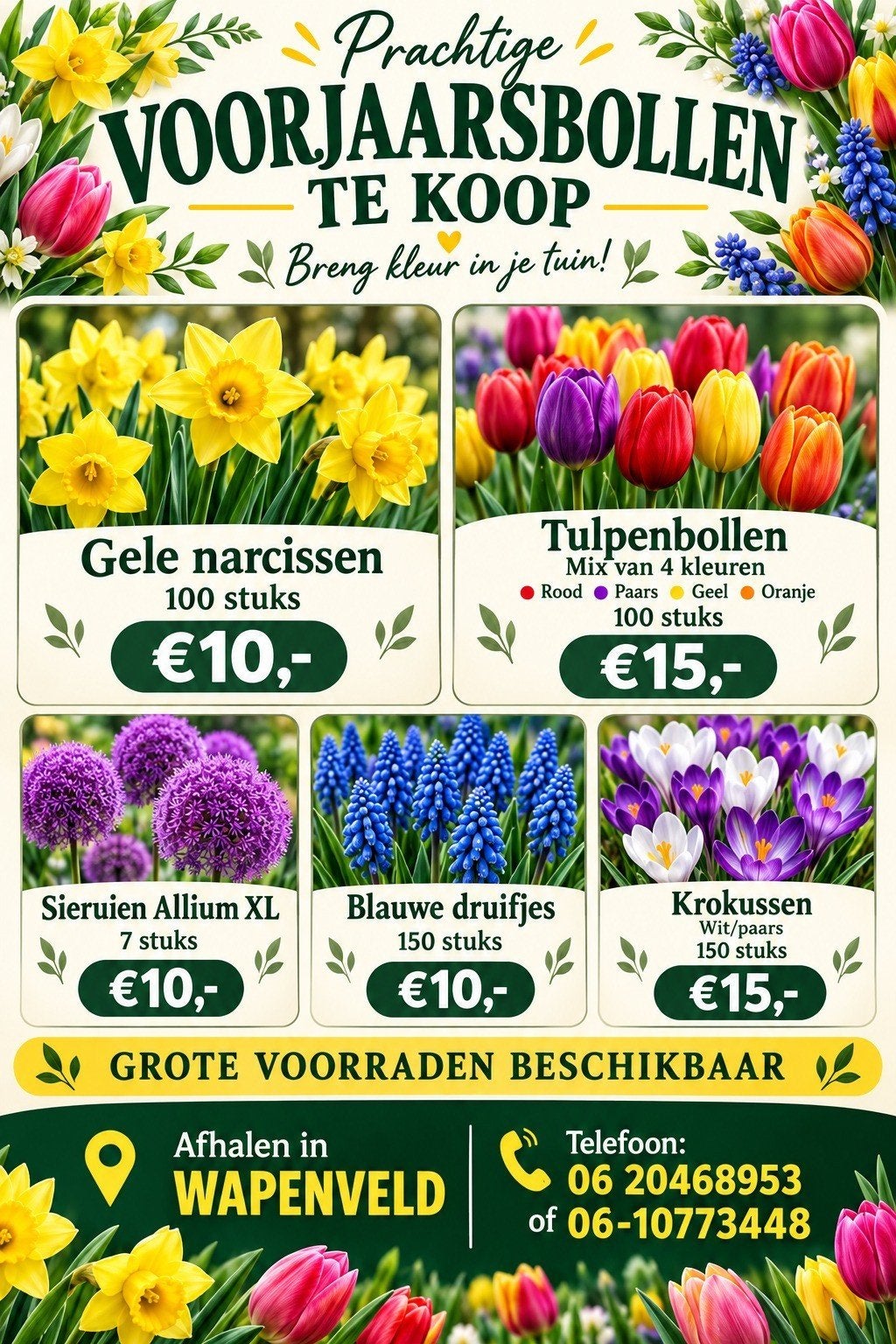 Bloembollen, Ophalen of Verzenden, Volle zon