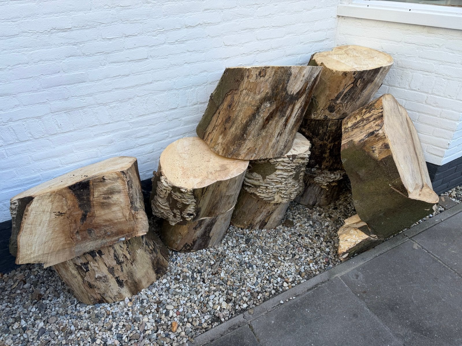 Openhaardhout - Diverse boomstammen, Minder dan 3 m³, Ophalen, Overige houtsoorten, Stammen