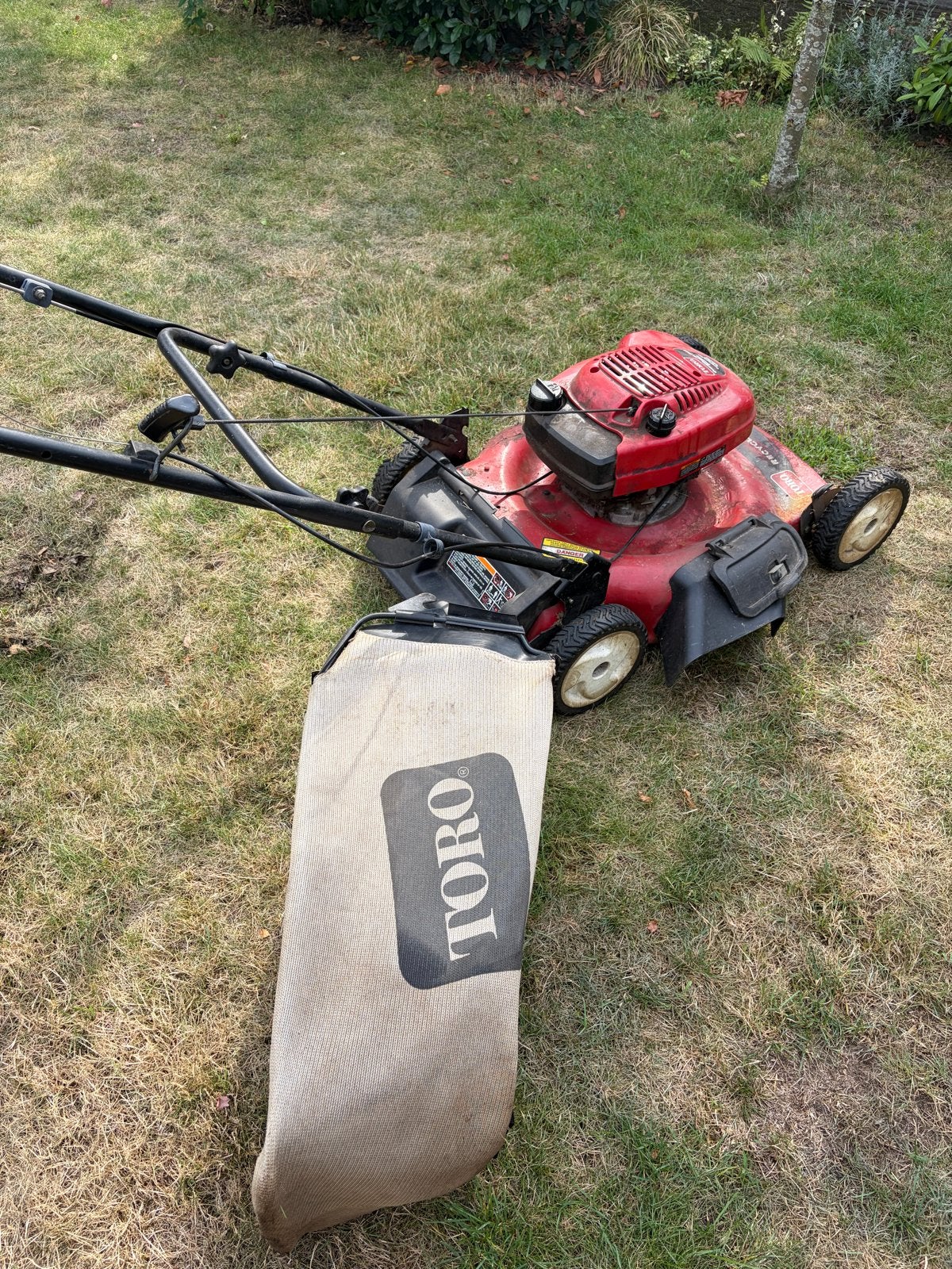 Toro Recycler Benzine Grasmaaier met Opvangzak, Ophalen, Cirkelmaaier, Gebruikt, 50 cm of meer