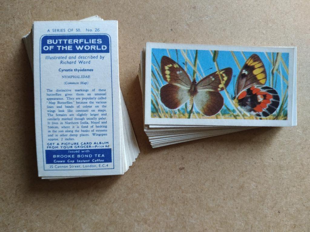 Butterflies of the World complete set 50 tea cards vlinders, Verzamelen, Ophalen, Gebruikt