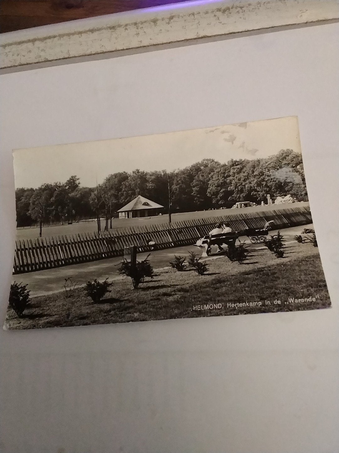 Oude ansichtkaart Helmond, Hertenkamp in de Warande, Verzamelen, Ansichtkaarten | Nederland, Gelopen, Noord-Brabant, 1960 tot 1980