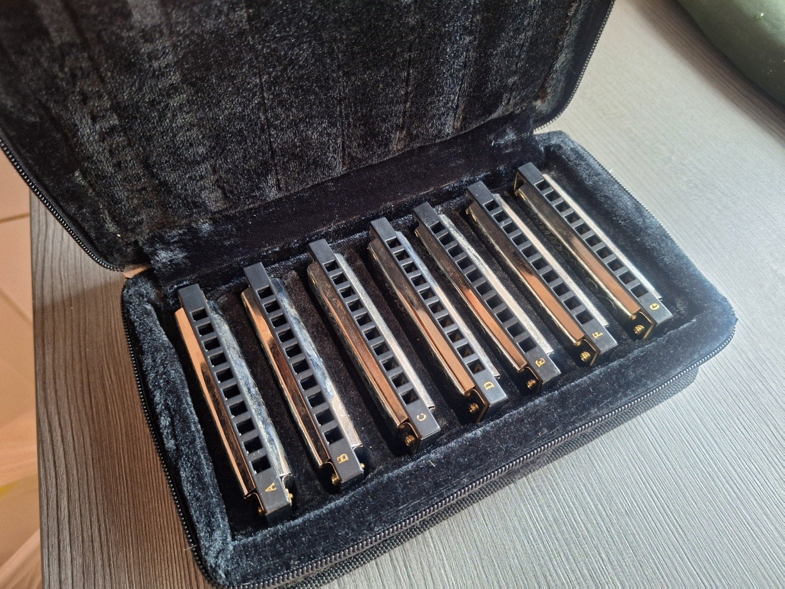 Belcanto Mondharmonica Set (7 stuks) met Etui, Overige typen, Nieuw, Ophalen of Verzenden, Met koffer of doosje