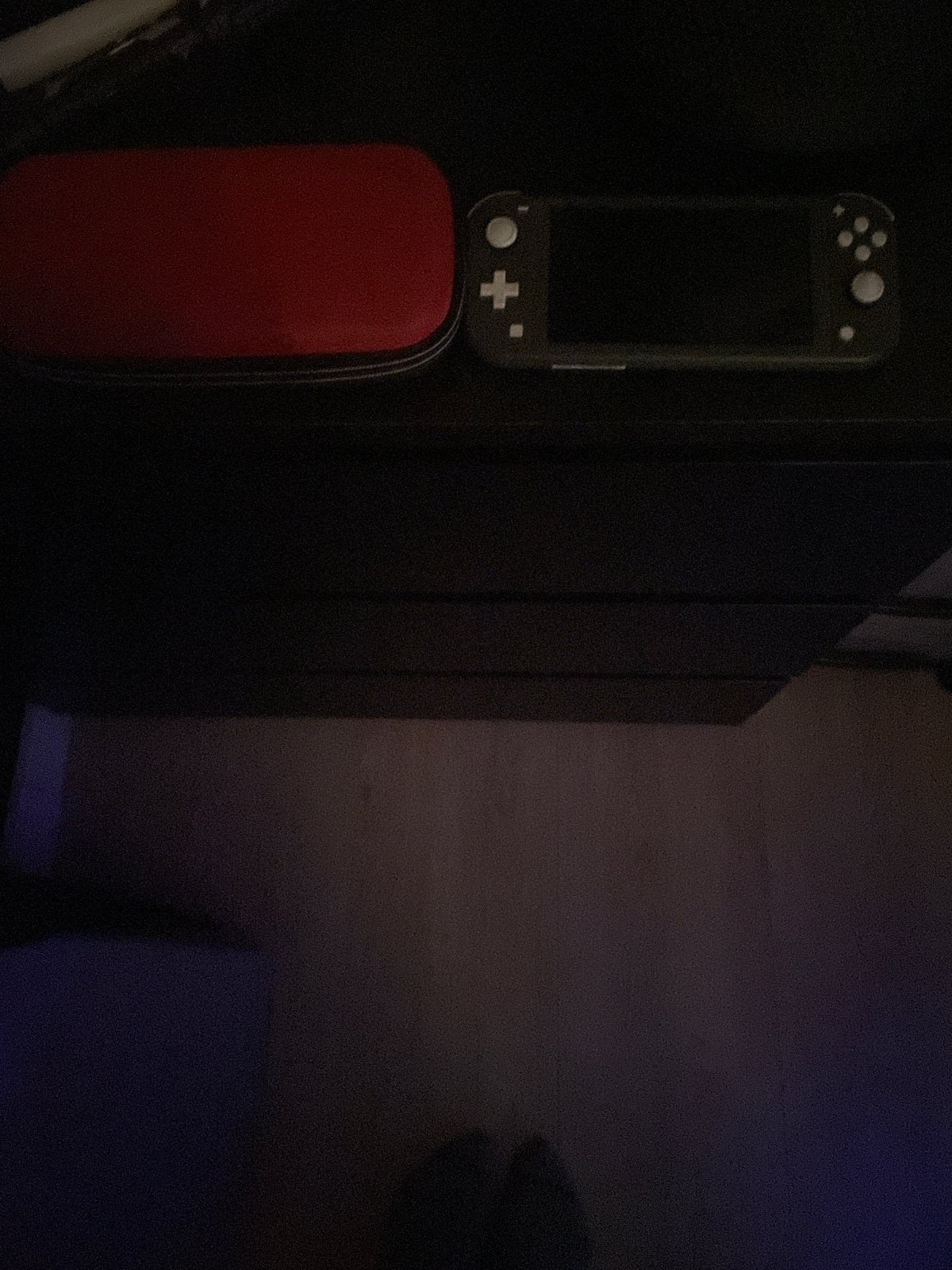Nintendo Switch Lite met hoesje, Ophalen of Verzenden, Grijs, Gebruikt, Met beschermhoes of tas