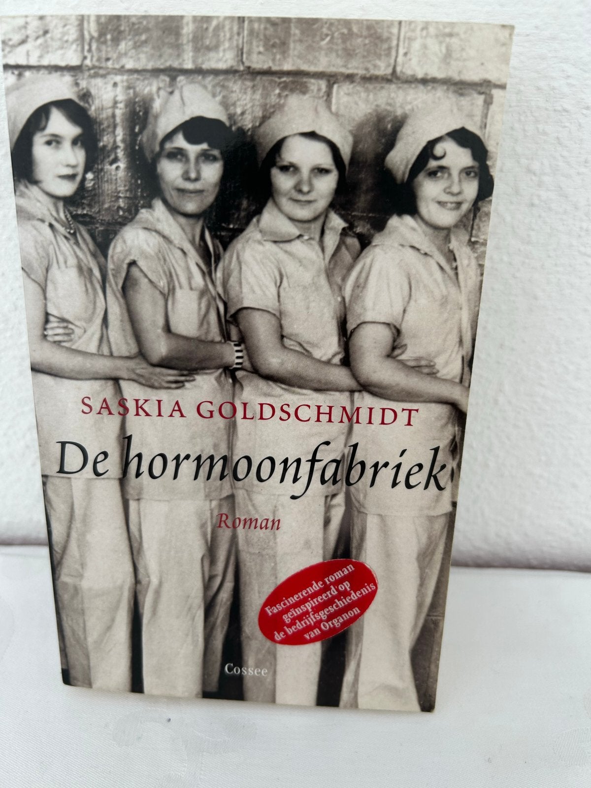 De Hormoonfabriek - Saskia Goldschmidt (Roman), Ophalen of Verzenden, Zo goed als nieuw, Nederland