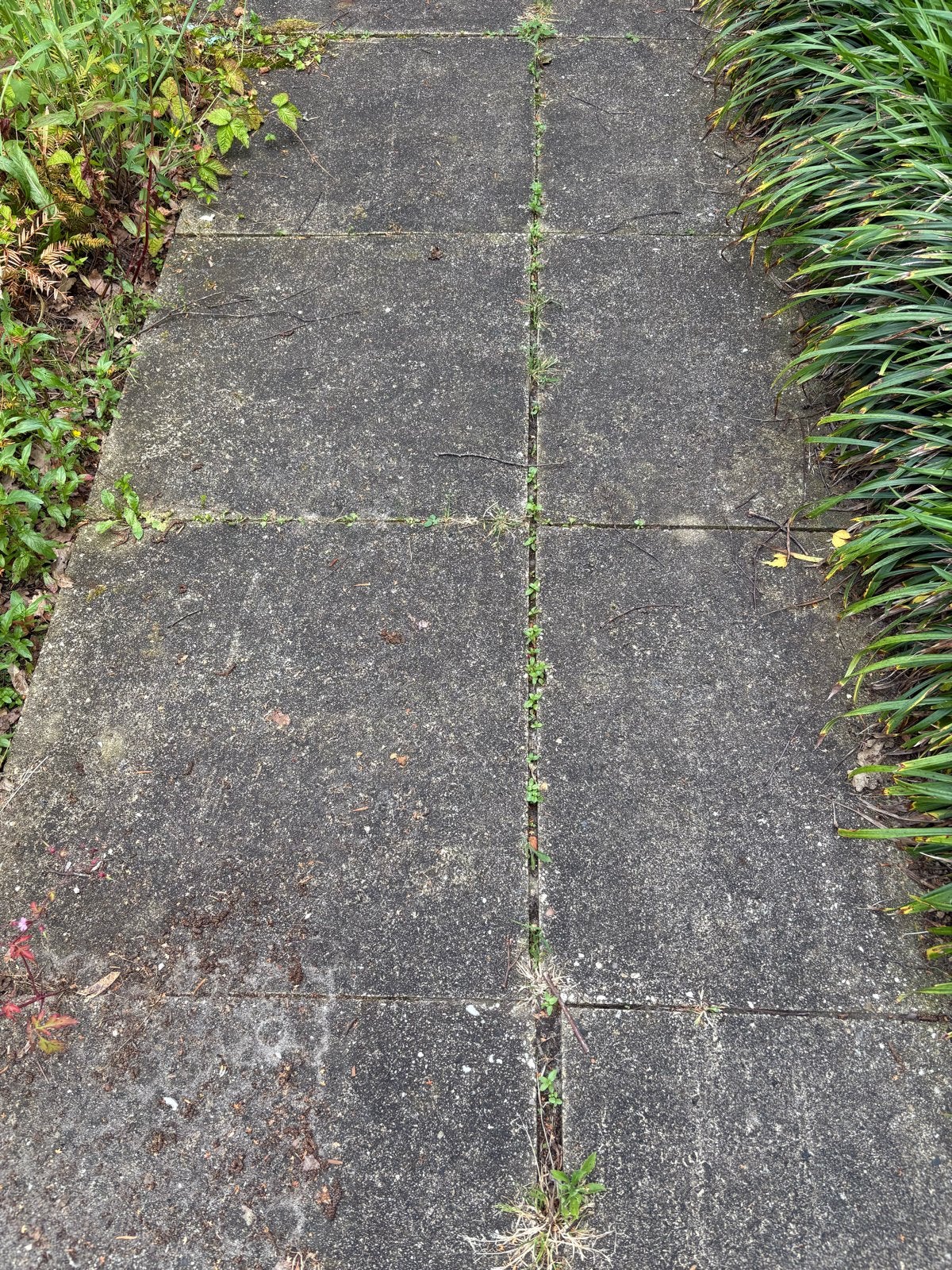Gebruikte betonnen terrastegels - 21m2 (60x60), Ophalen, Gebruikt, 10 m² of meer, Beton