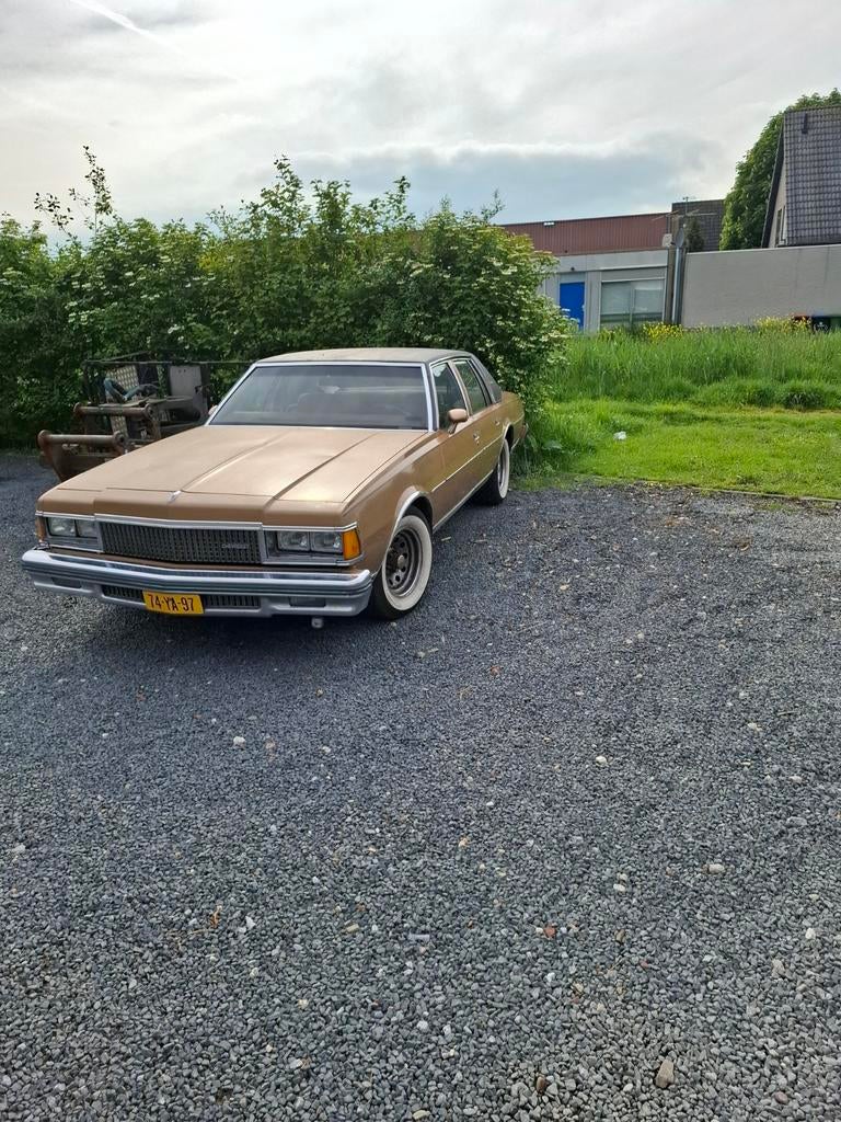 Chevrolet Caprice 4.4 8 cilinder Classic AUT 1977 Bruin, Auto's, Chevrolet, 8 cilinders, Bruin, 122 pk, Caprice