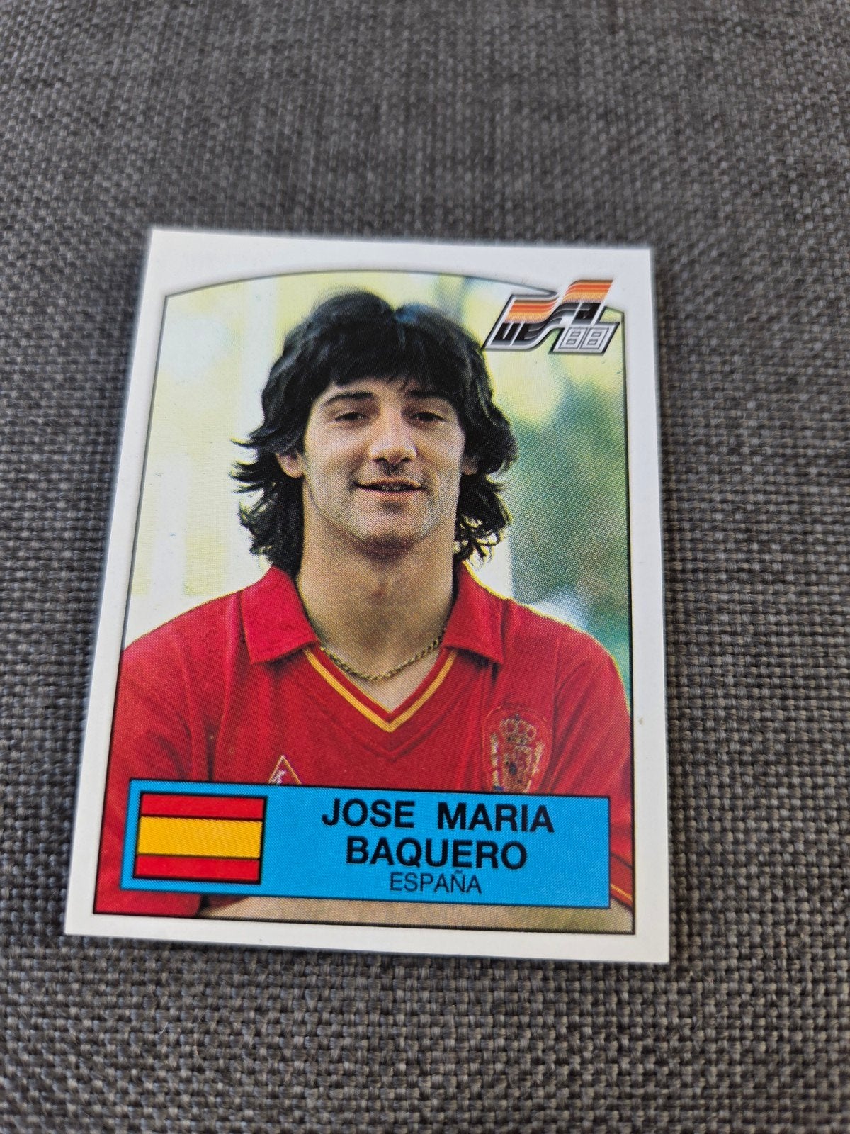 Panini EK 88, Ophalen of Verzenden, Zo goed als nieuw, Sticker