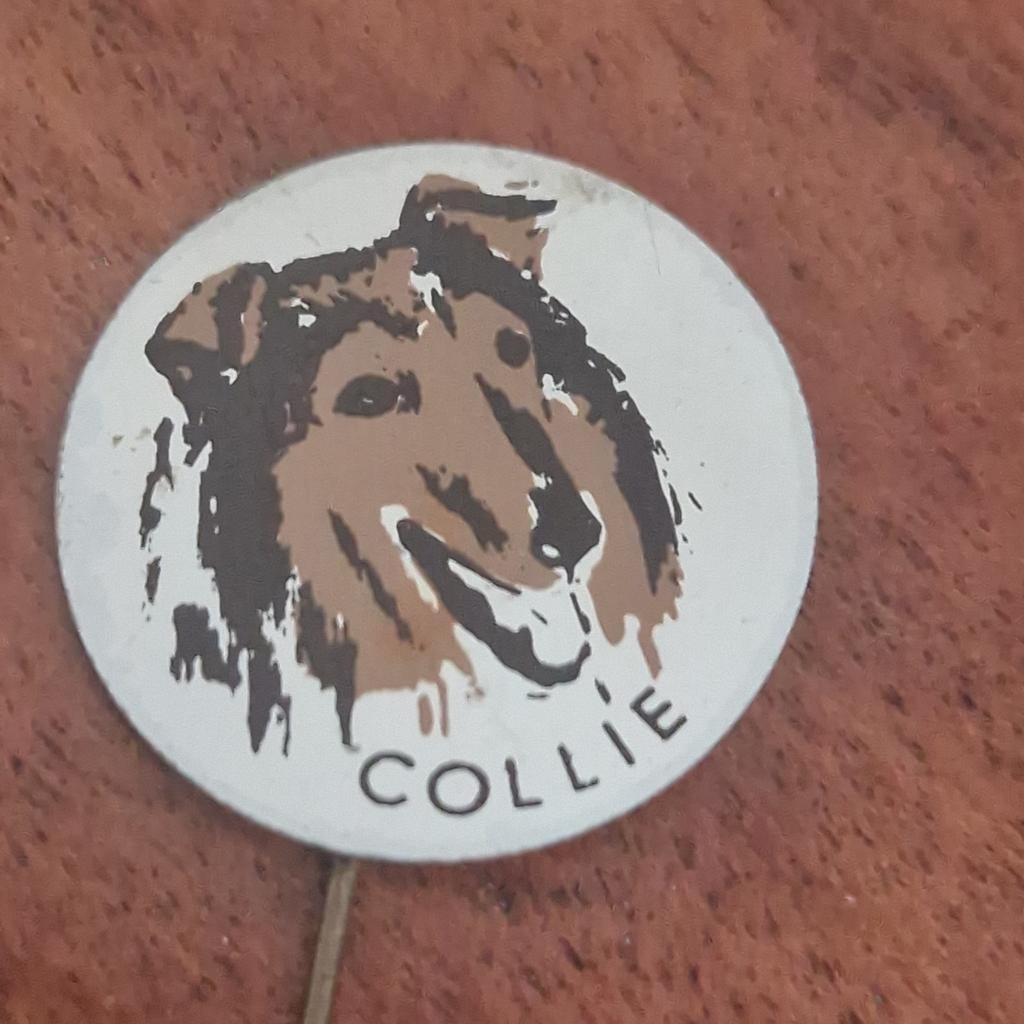 SPELDJE Collie, Ophalen of Verzenden