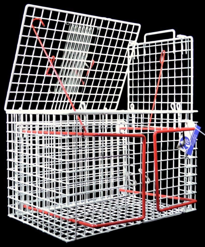 Fixatie/ Dwangkooi met Boven / Zij Paneel wit, Ophalen of Verzenden, Nieuw