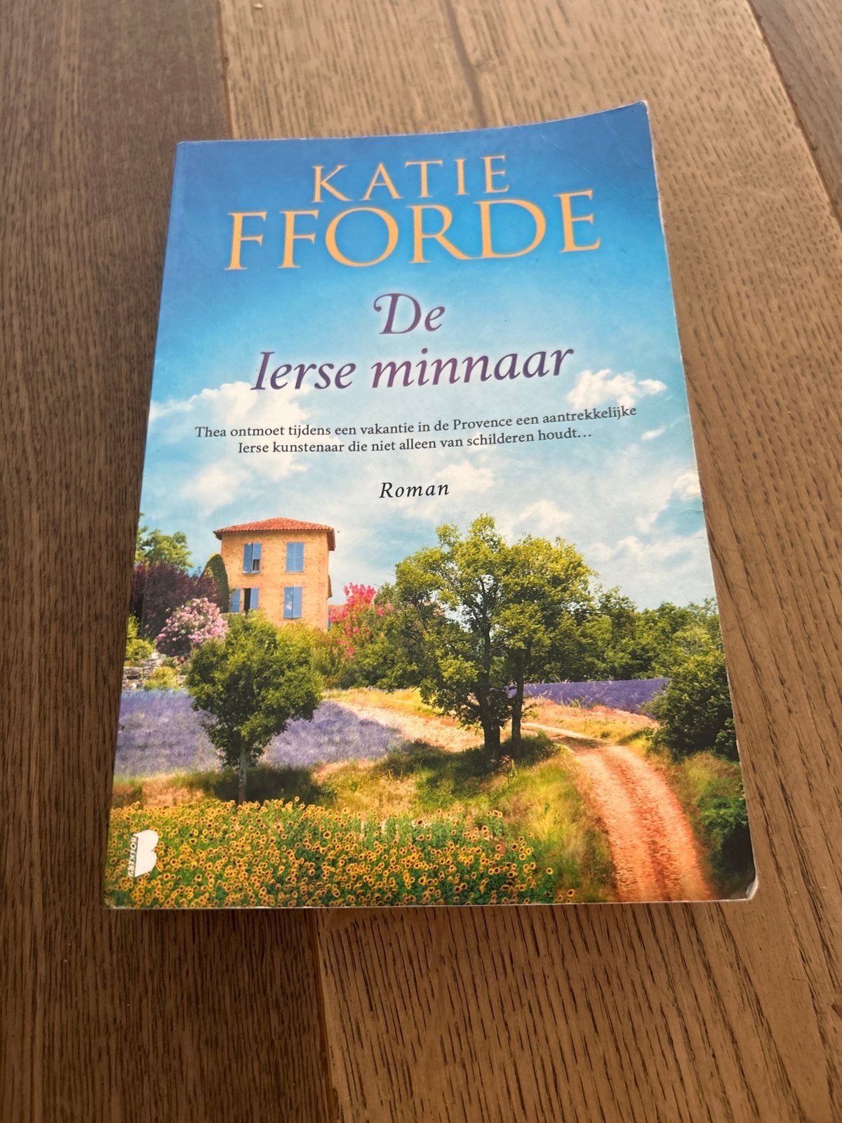 De Ierse minnaar - Katie Fforde (Roman), Ophalen, Gelezen, Europa overig