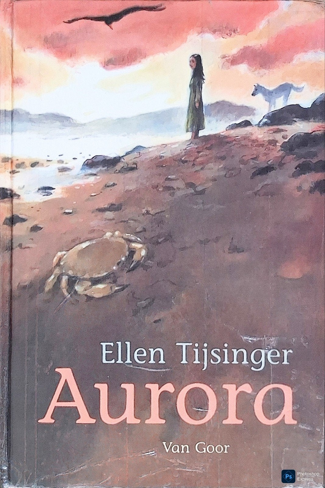 Aurora, Gelezen, Ophalen of Verzenden, Ellen Tijsinger., Fictie
