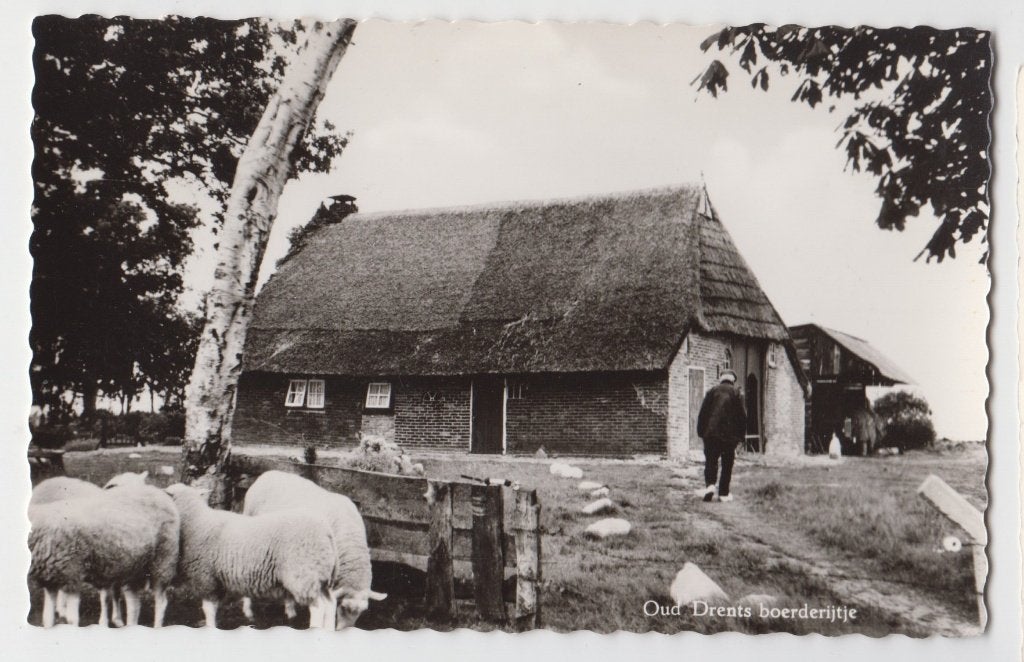 046 Oude Drentse boerderij Boerderij Schapen B17, Verzenden, 1940 tot 1960, Ongelopen, Drenthe