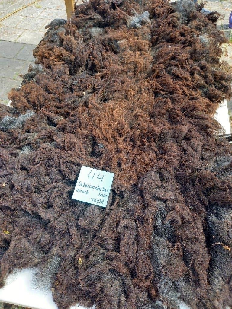 nr 44 Geschoren vacht van Schoonebeker heideschaap lam, Ophalen of Verzenden, Nieuw