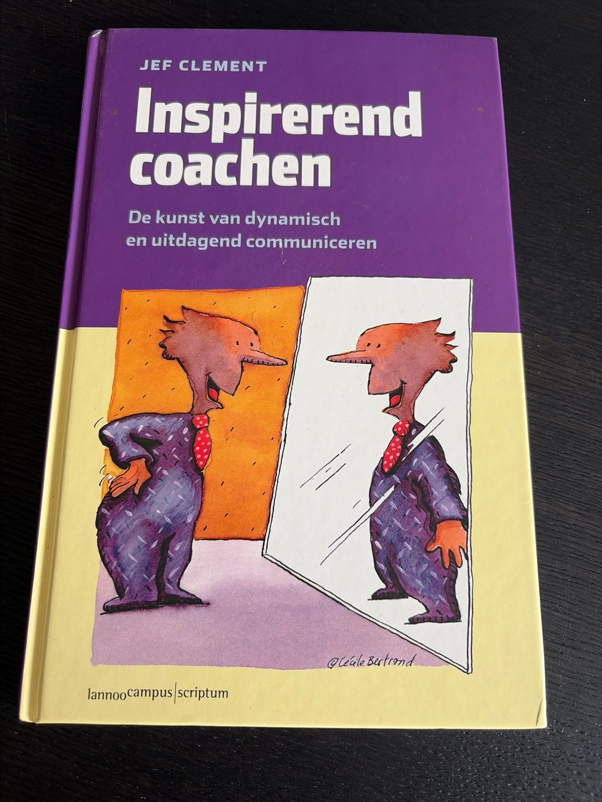 Inspirerend coachen: De kunst van dynamisch communiceren, Ophalen of Verzenden, Zo goed als nieuw