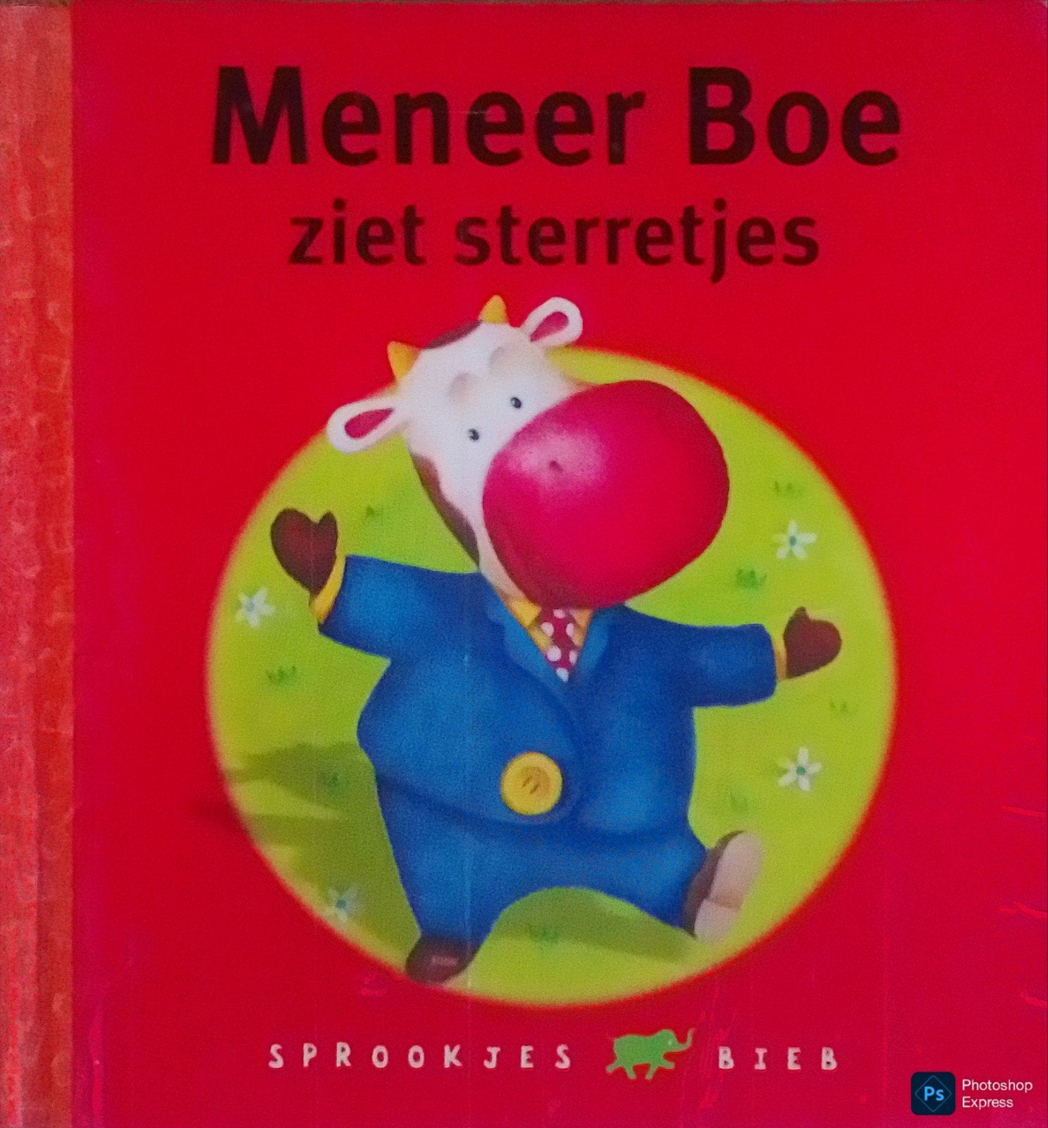 Meneer Boe Ziet Sterretjes, Boeken, Gelezen, 3 tot 4 jaar, Ophalen of Verzenden, Margaret Wild.
