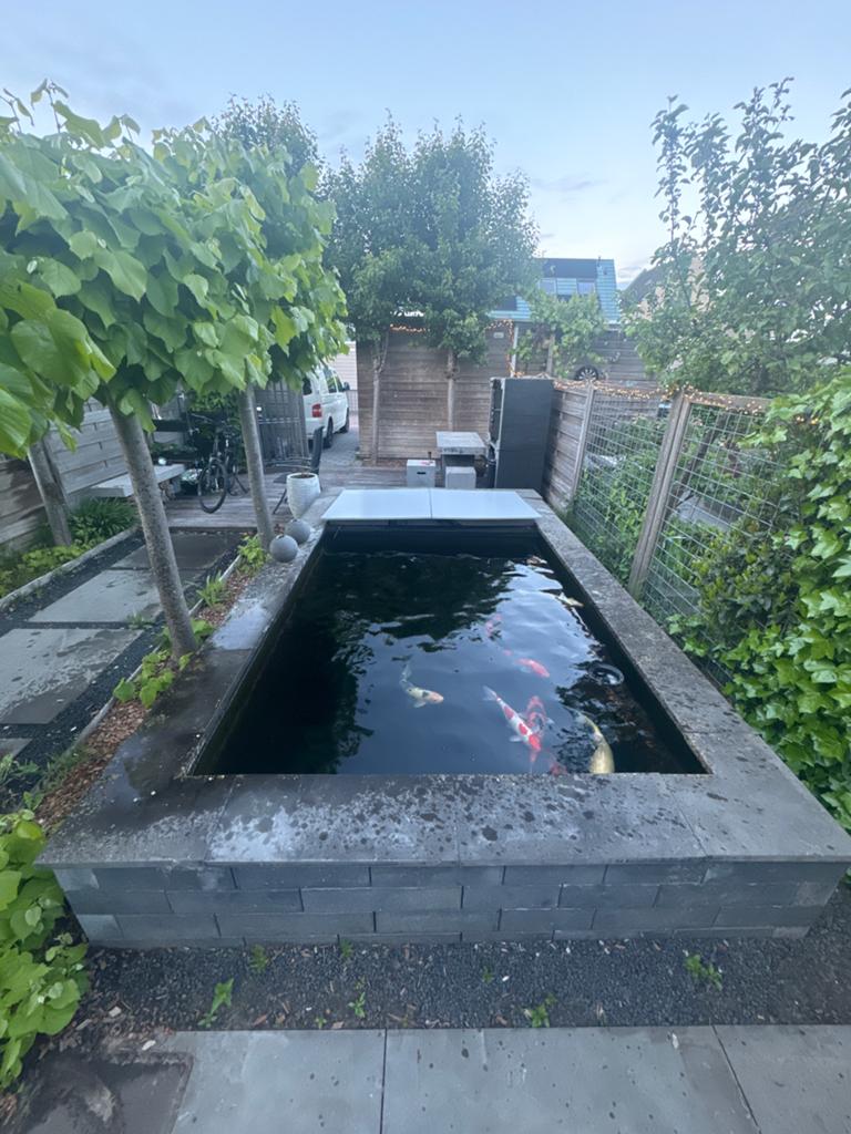 Complete Koi Vijver met 9 Tamme Koi (ca. 60 cm) en Filter, Tuin en Terras, Ophalen, Gebruikt