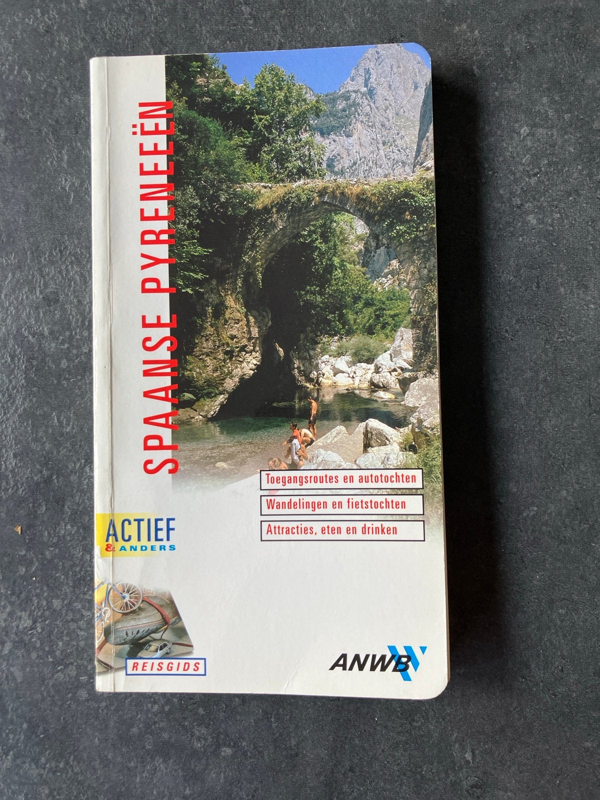 Reisgids Spaanse Pyreneeën Actief & Anders (2001), Boeken, Reisgidsen, Europa, Ophalen of Verzenden, Zo goed als nieuw, Reisgids of -boek